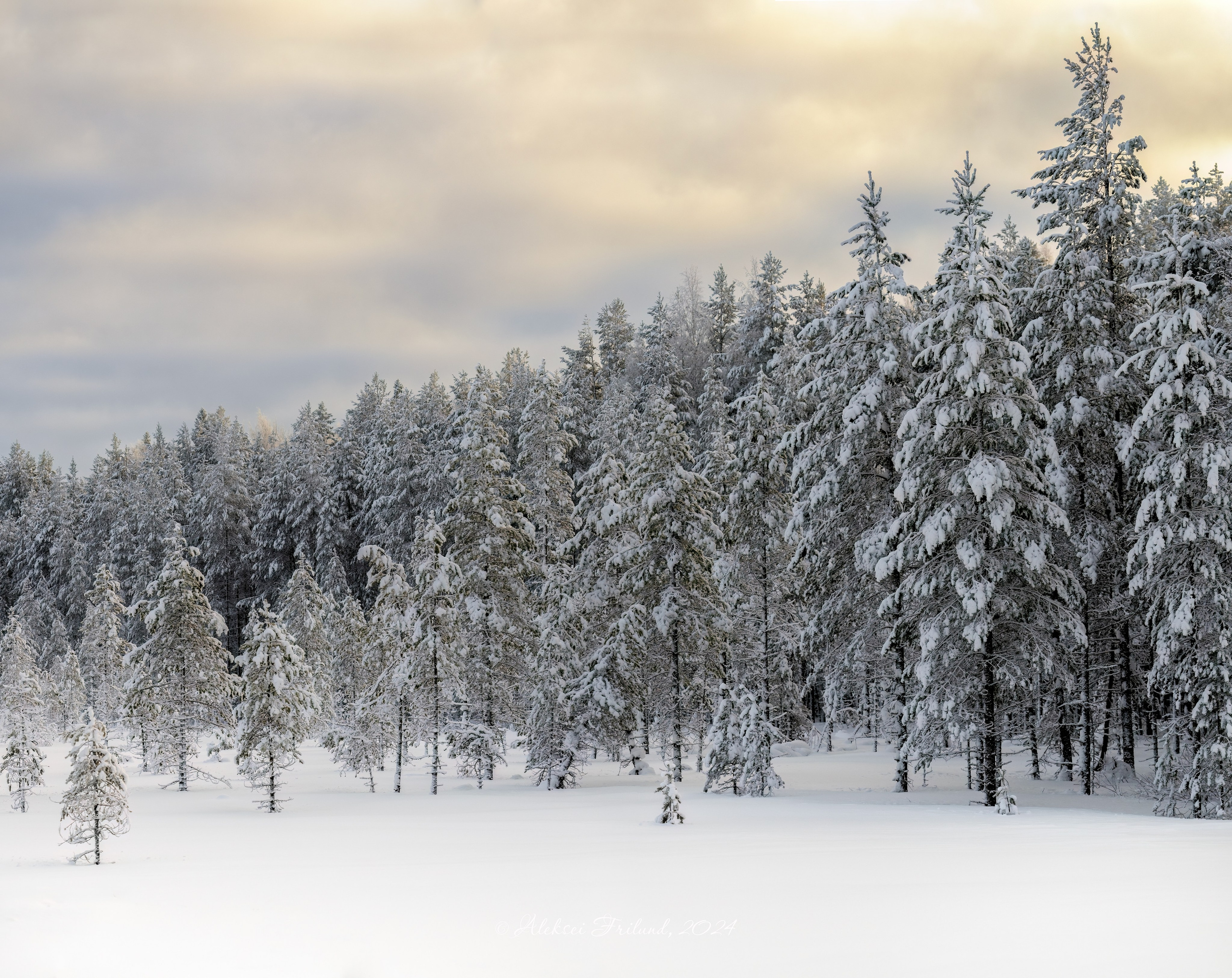 Природа Карелии. Аэросъемка. Фото и Видео в Карелии. Алексей Фрилунд
