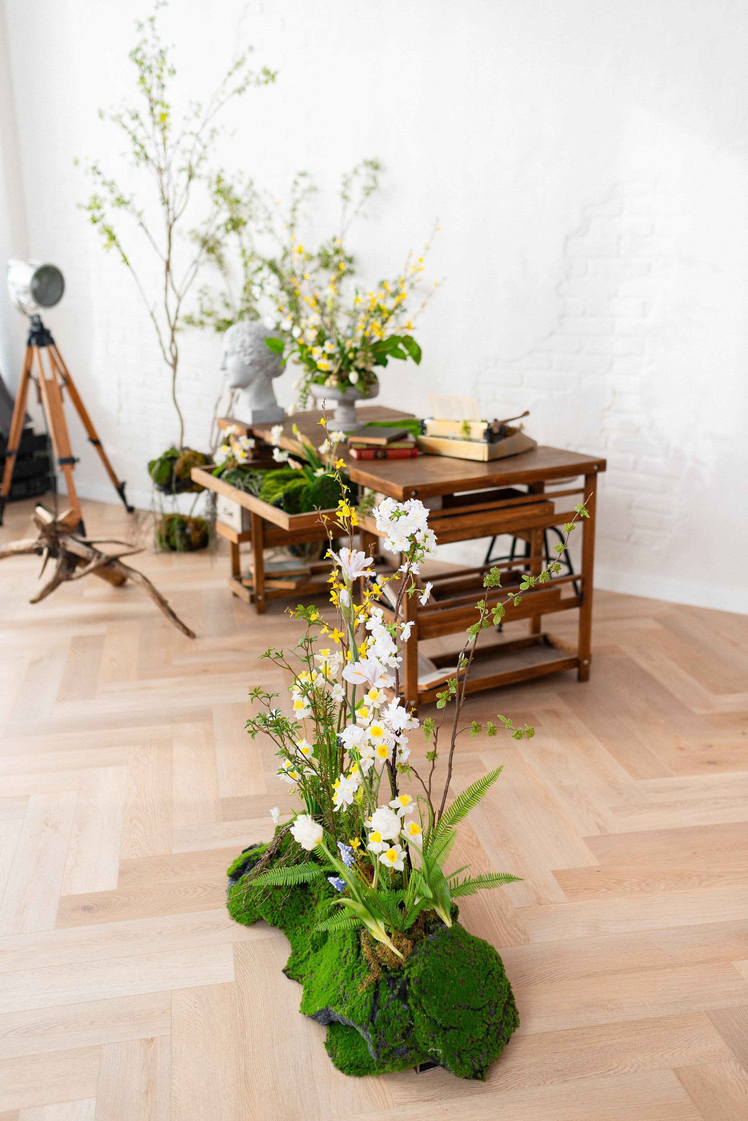 Фотостудия Питер в Сургуте. Детский и семейный фотограф в Сургуте и Нефтеюганске Анна Старцева