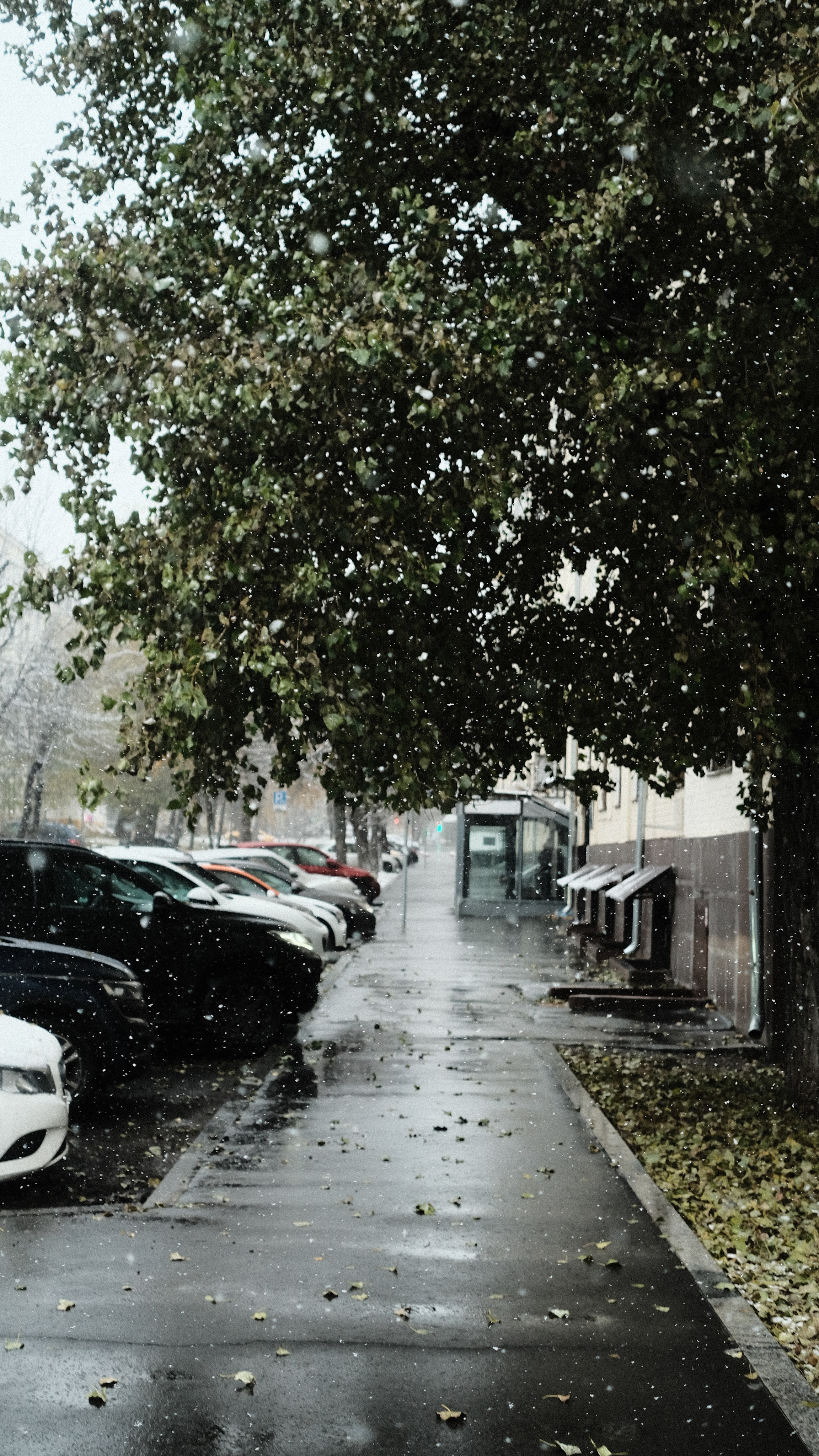 Стрит-фотография Москва. Фотограф-любитель из Кирова Андрей Погребняк