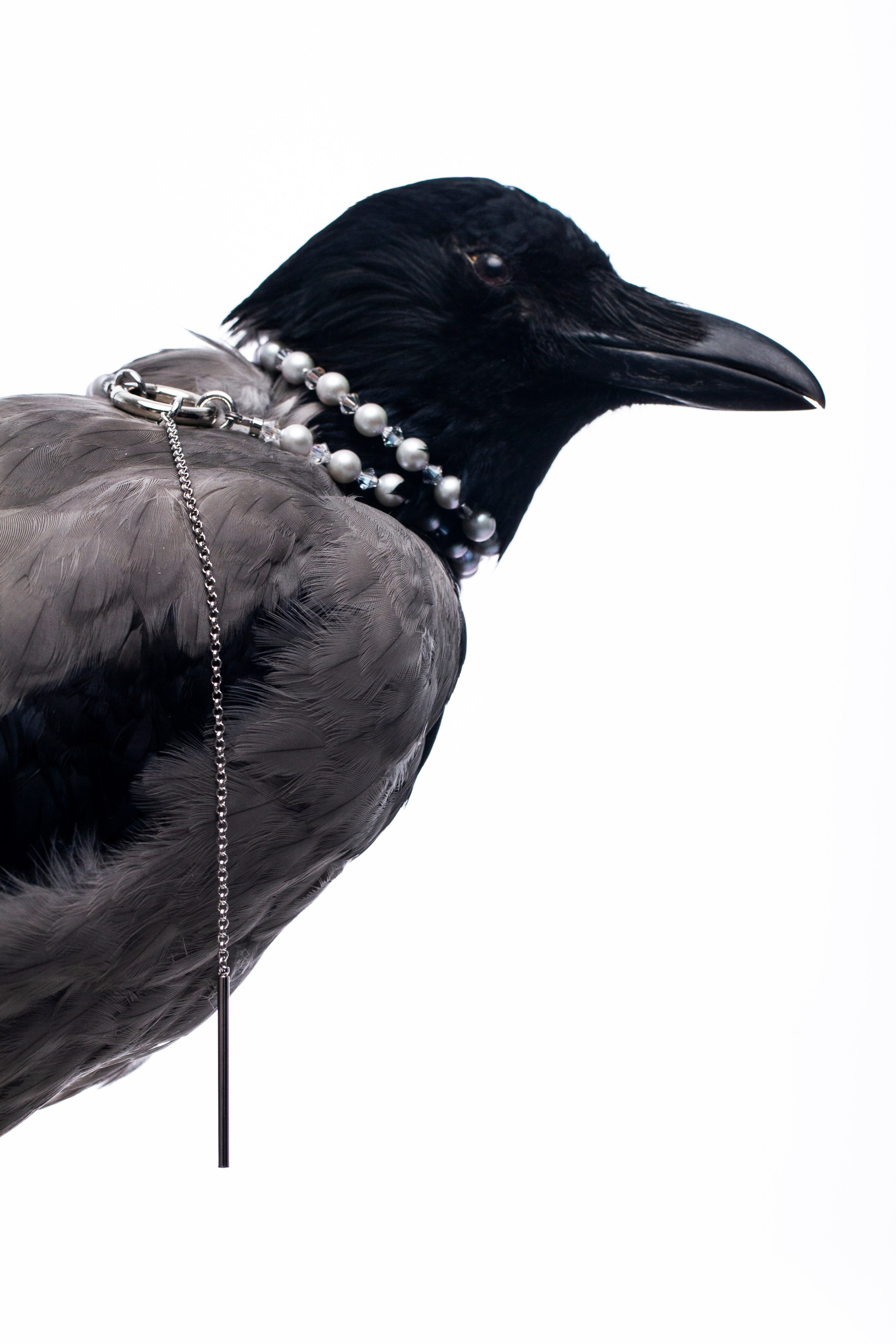 Бижутерия. Концептуальный фотограф Шлыкова Ольга