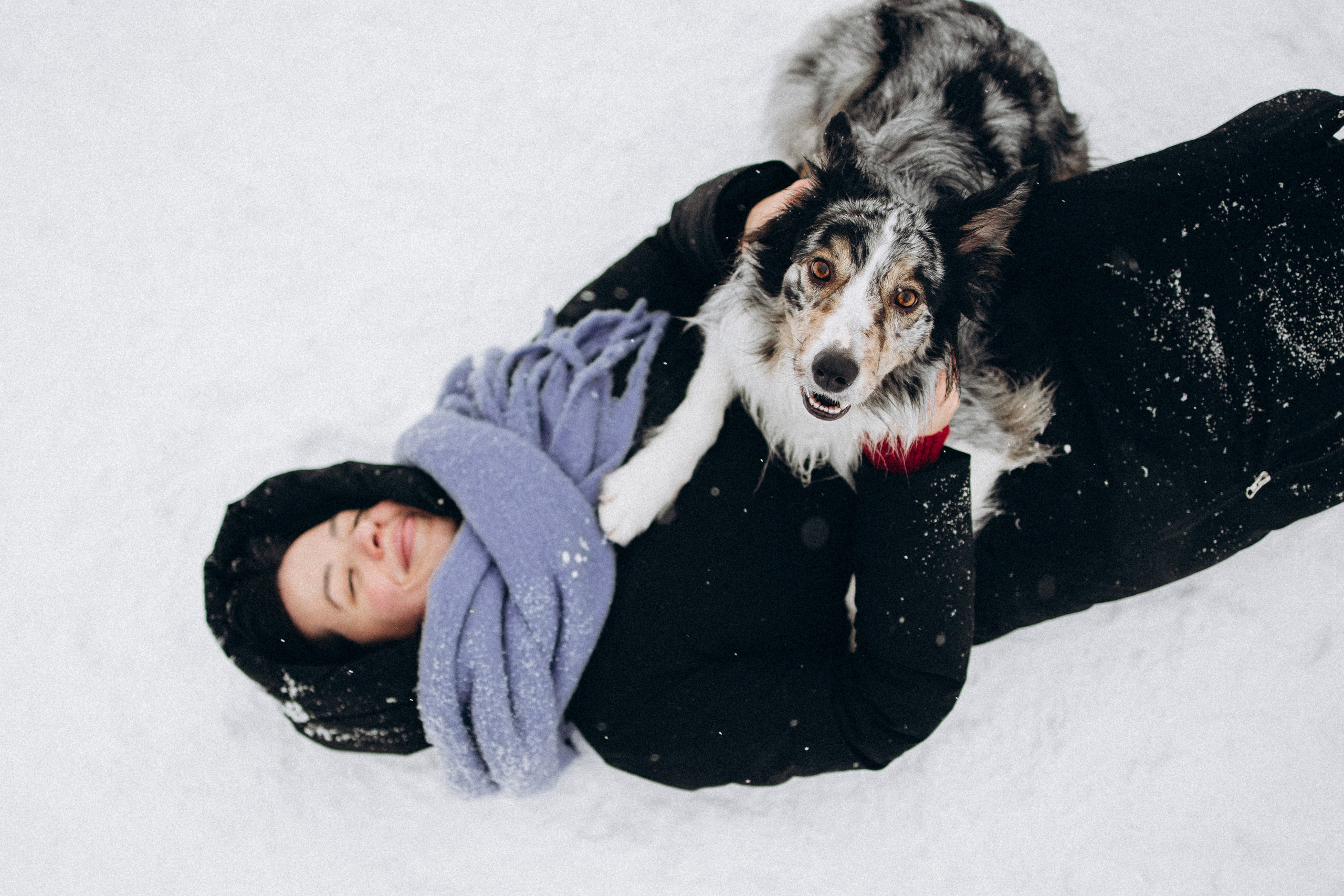 Настя и Тор. Фотораф — анималист Мария Шистка