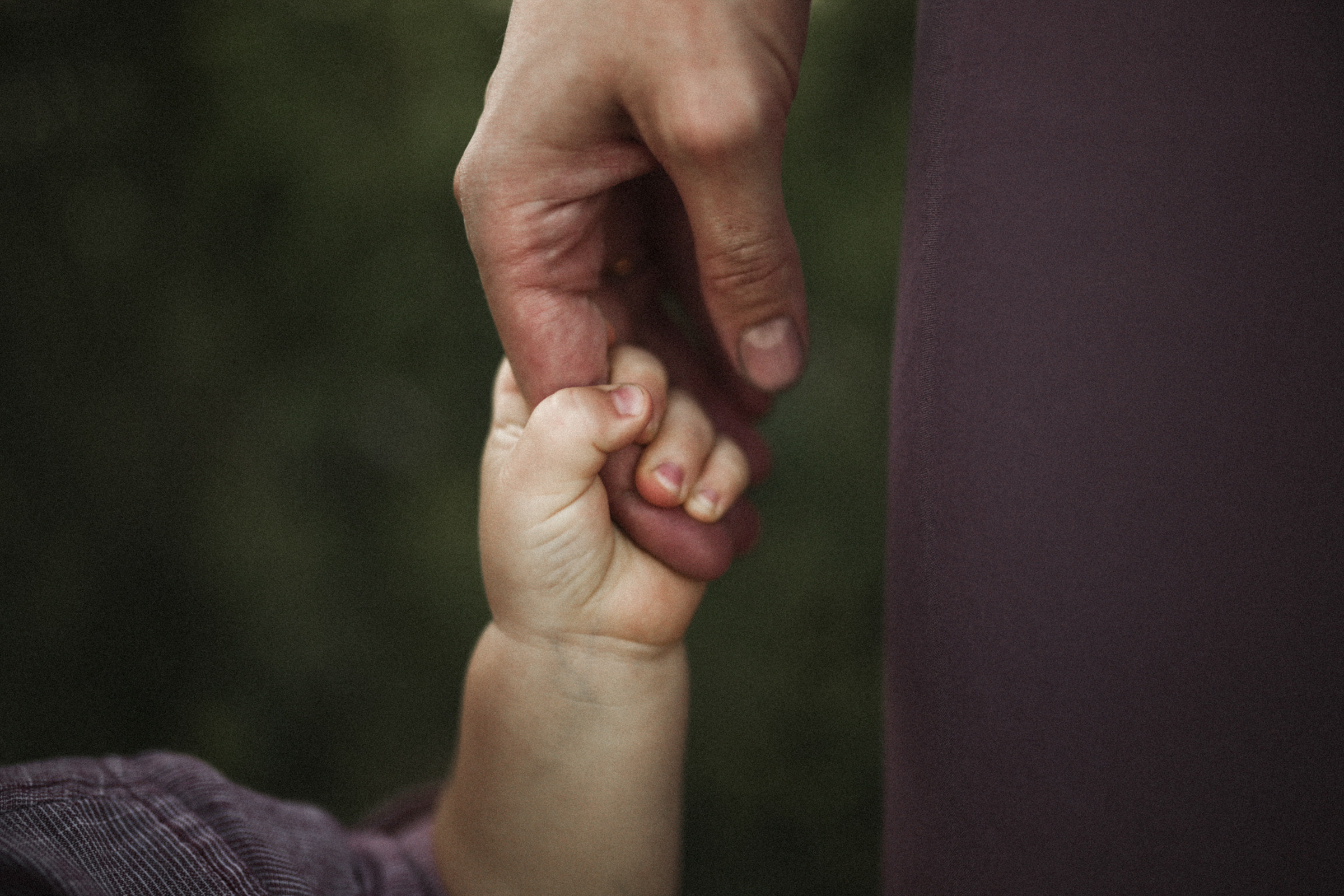 Всё в семью. Свадебный и семейный фотограф в Южно-Сахалинске Софья Воропаева