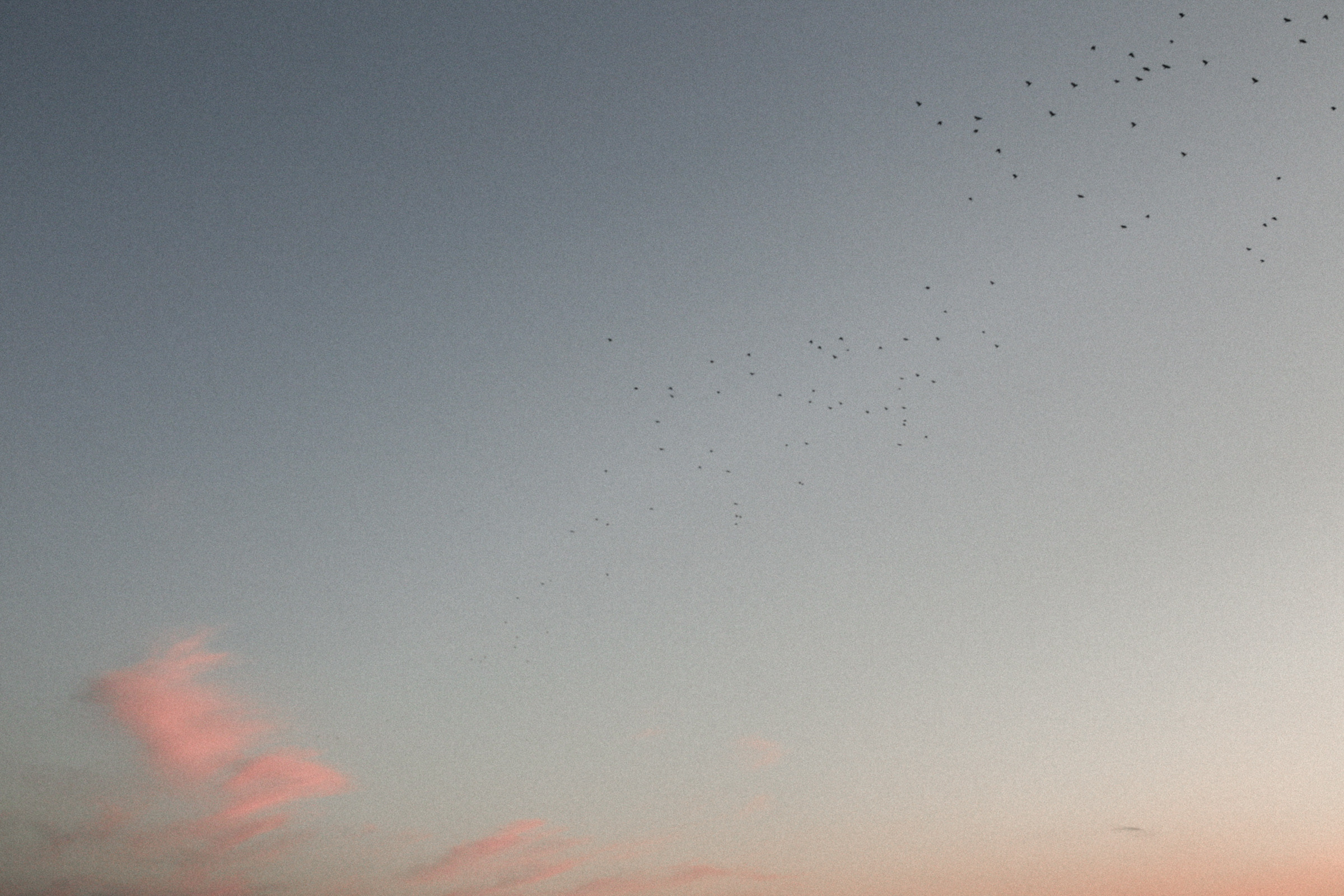 Всё в семью. Свадебный и семейный фотограф в Южно-Сахалинске Софья Воропаева
