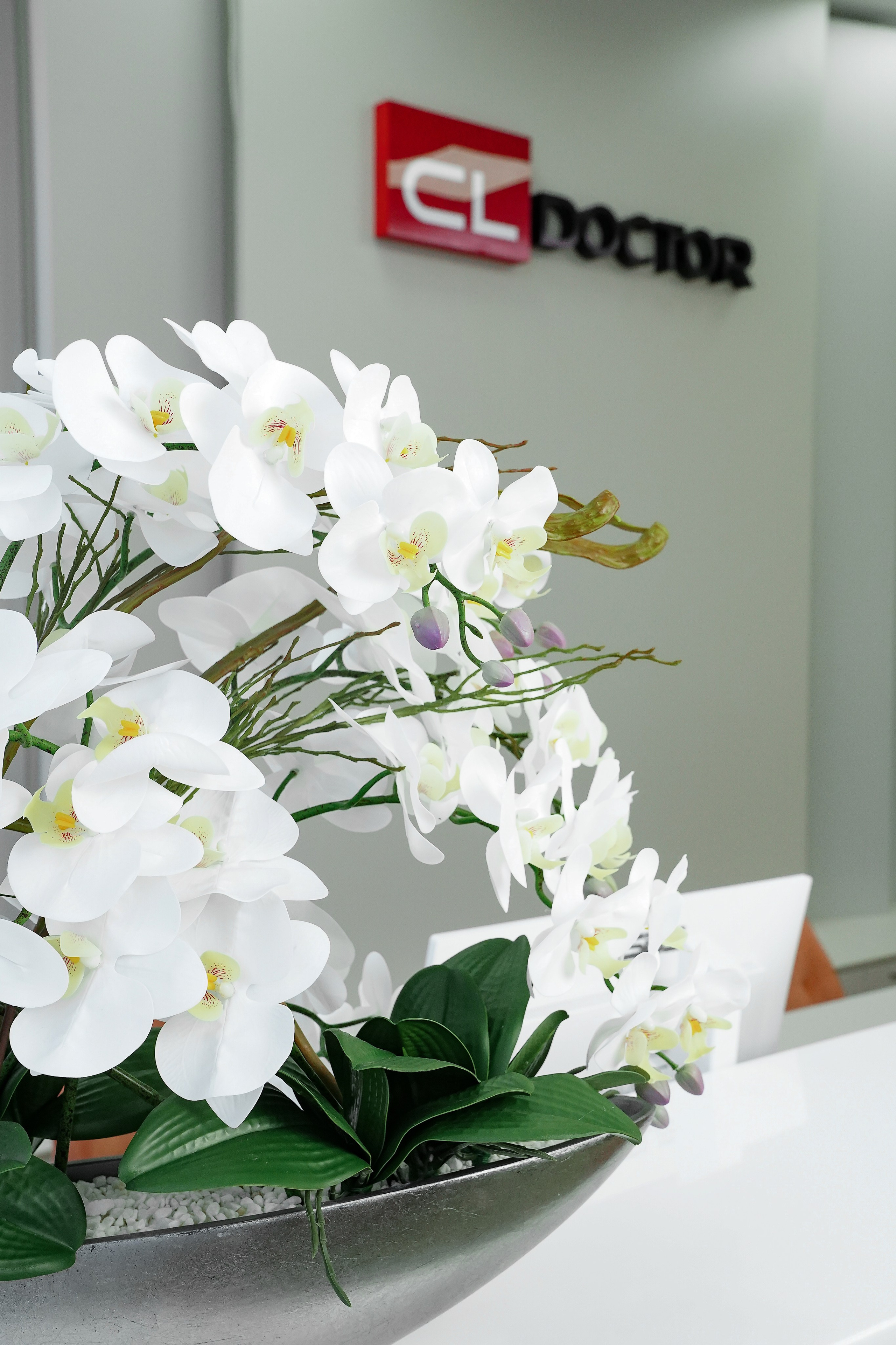 Клиника CL DOCTOR. Контентный и свадебный фотограф в Краснодаре и Сочи Елена Плотникова