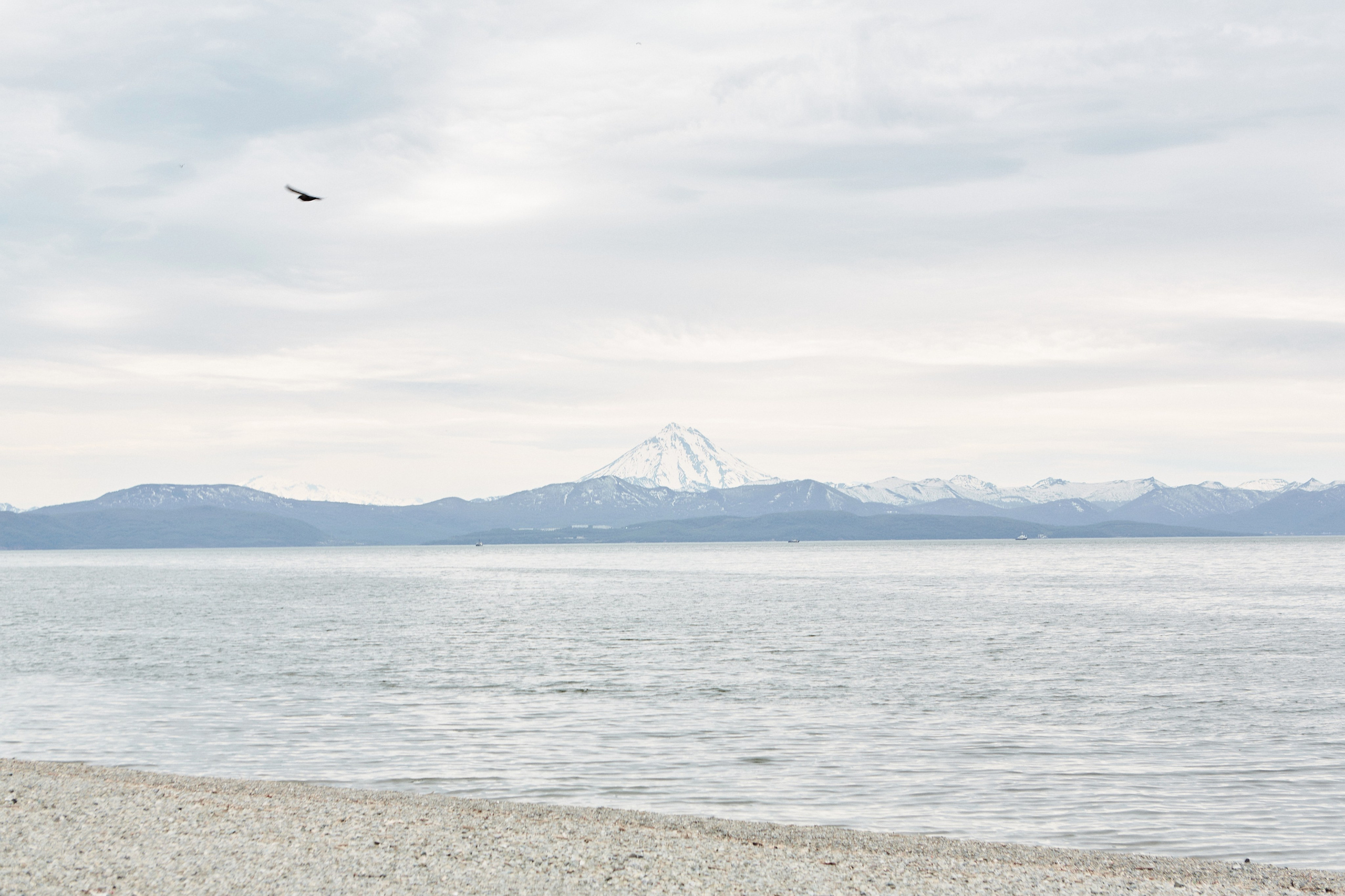 Руслан и Анастасия. Фотограф Камчатка Тамара Копылова