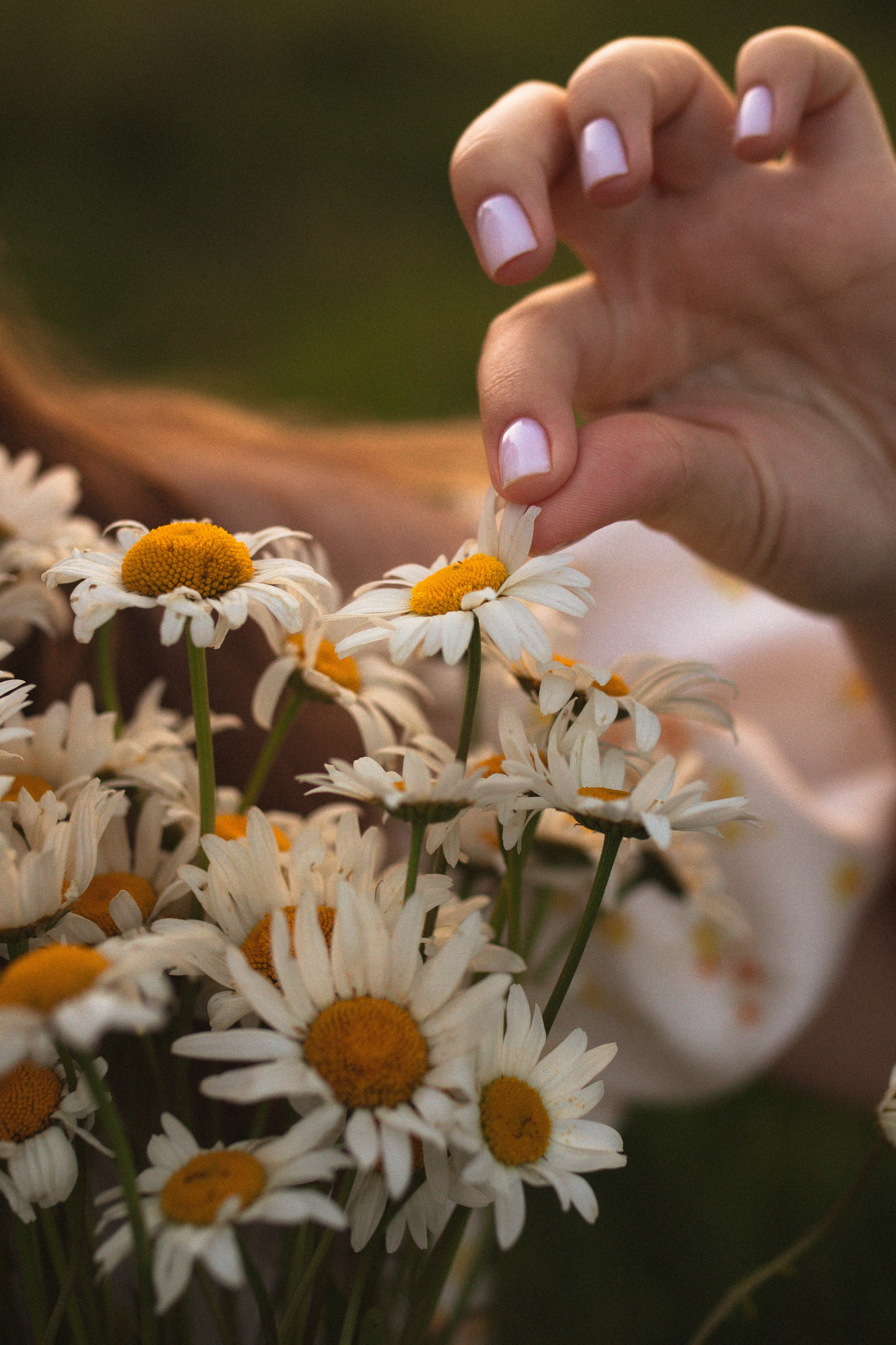 Кристина. Фотограф Ломакина Анастасия