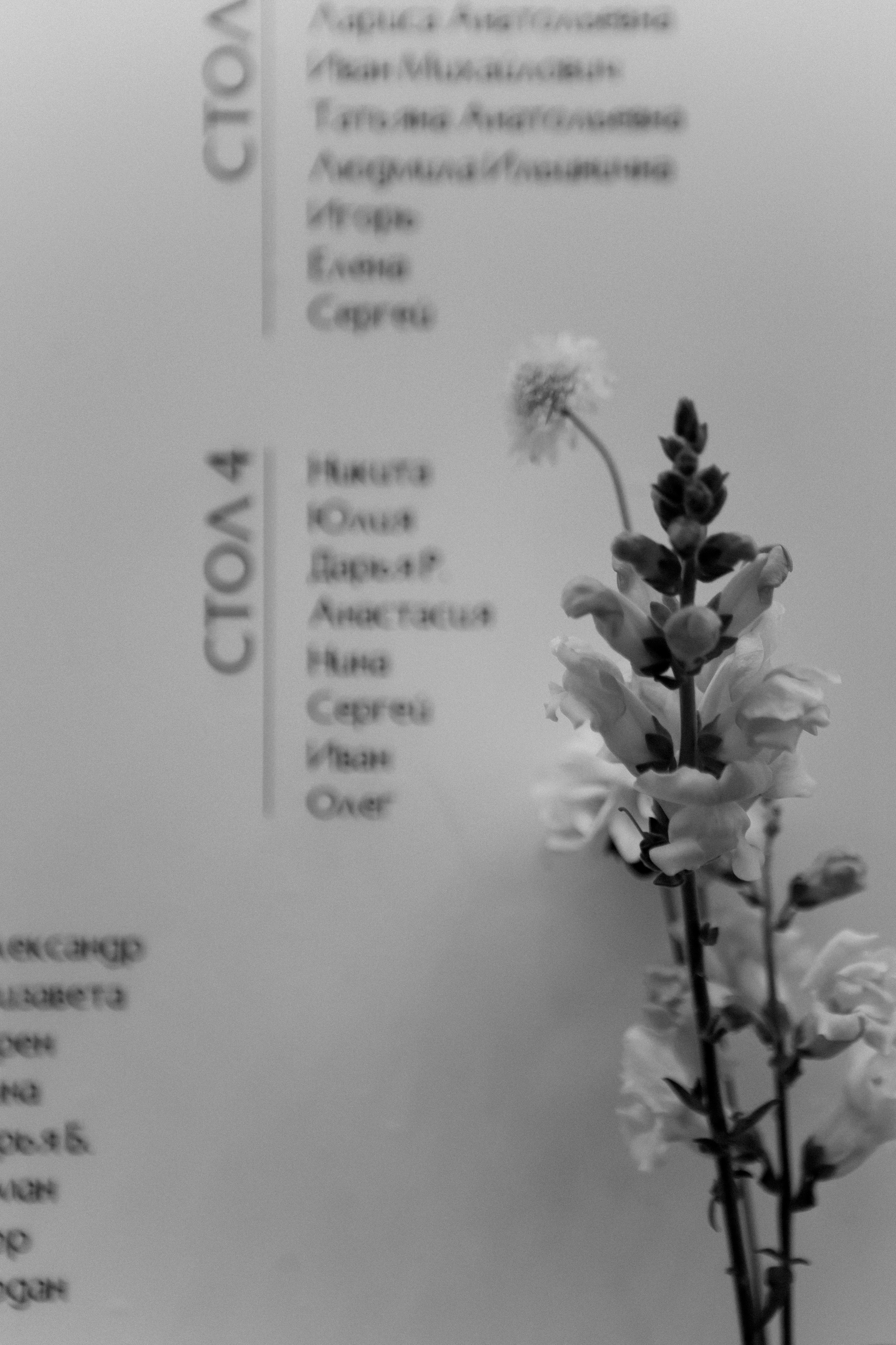 Катя & Илья. Свадебный фотограф в Барнауле и Новосибирске Лия Варкентин