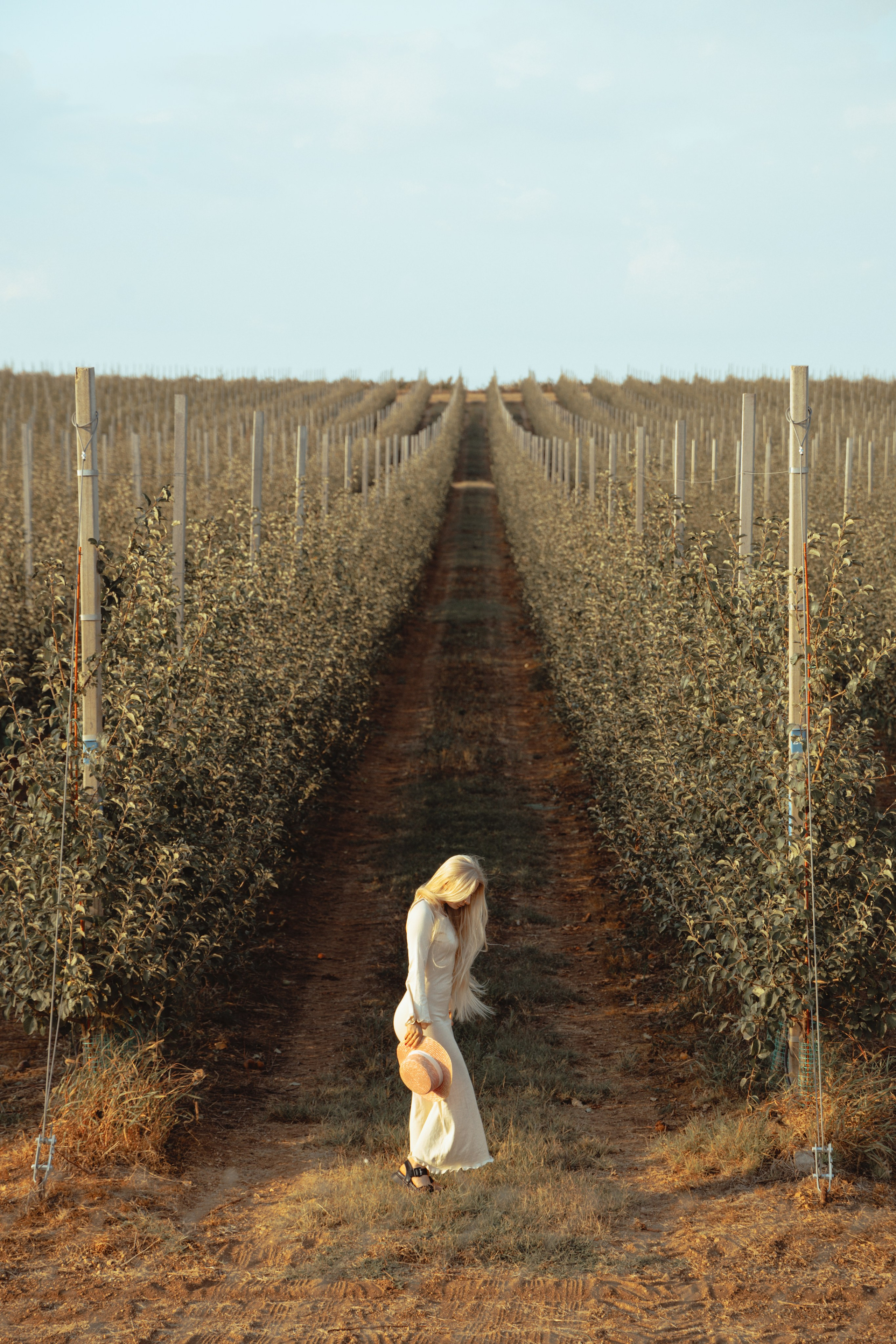 Domik в саду. Артем Корнев Фотограф