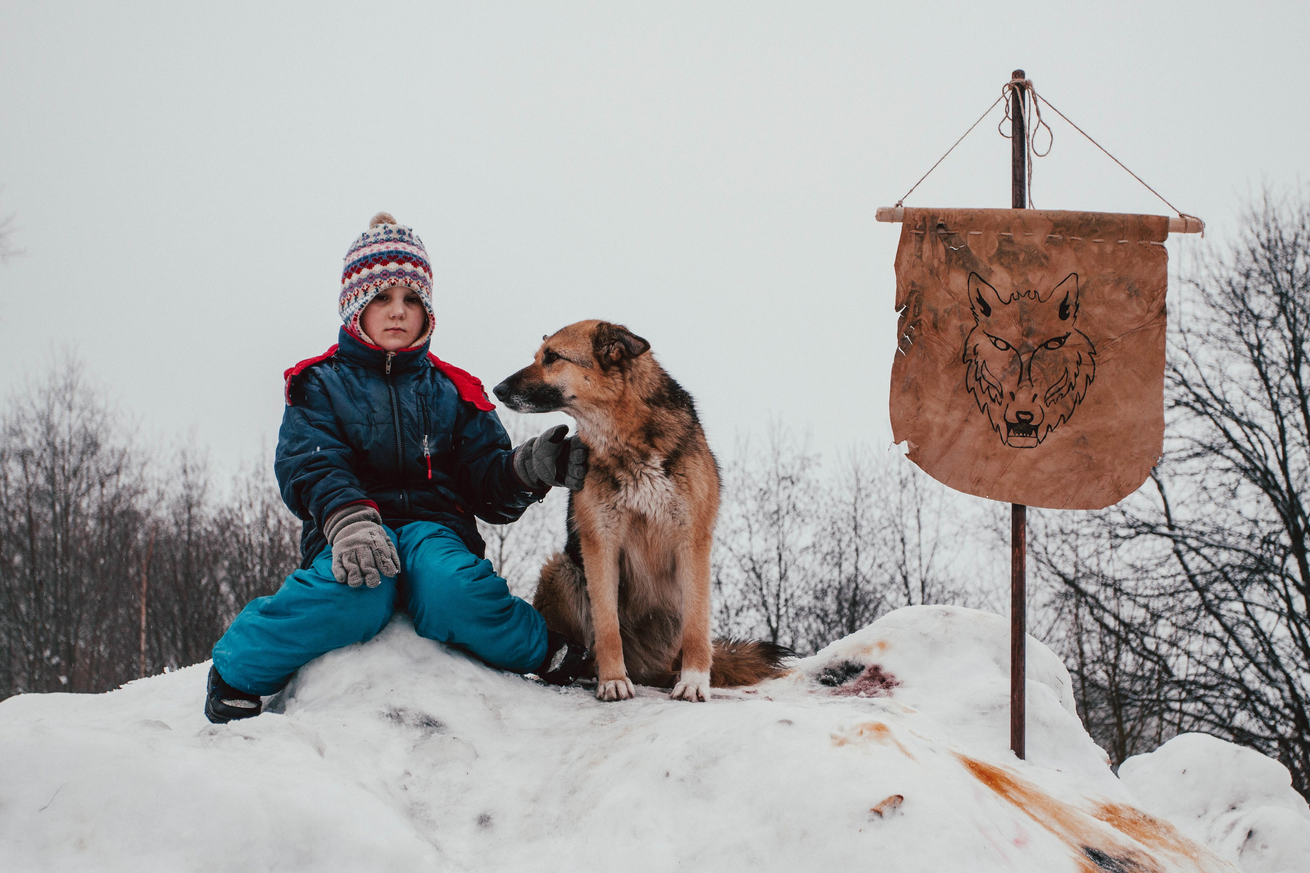 Гонки на ездовых собаках в Токсово. Репортажный фотограф во Всеволожске и Санкт-Петербурге Владимир Капустин