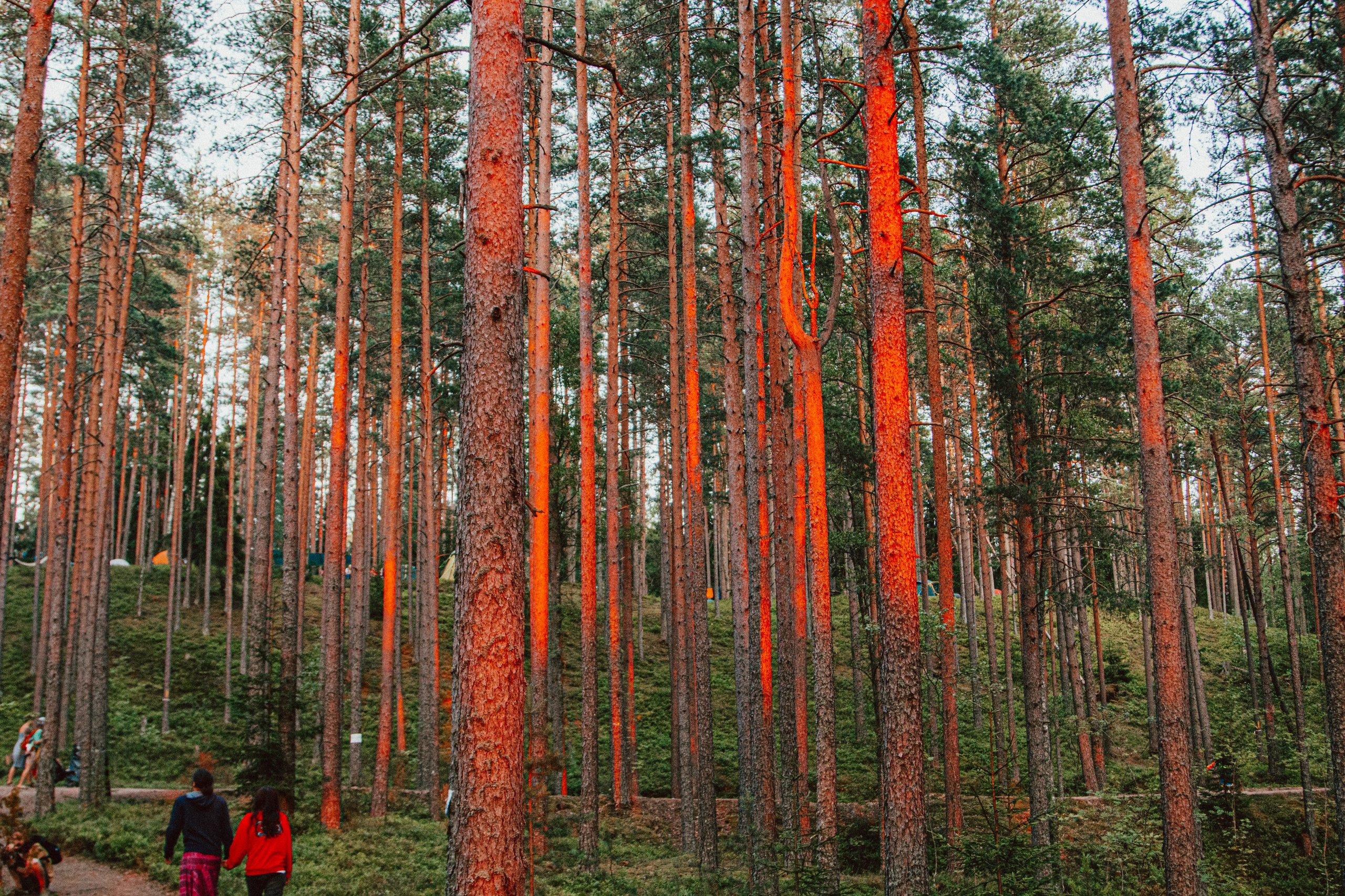 Ленинградская область (серия книг «Крым — Путь к Свободе»)». Репортажный фотограф во Всеволожске и Санкт-Петербурге Владимир Капустин