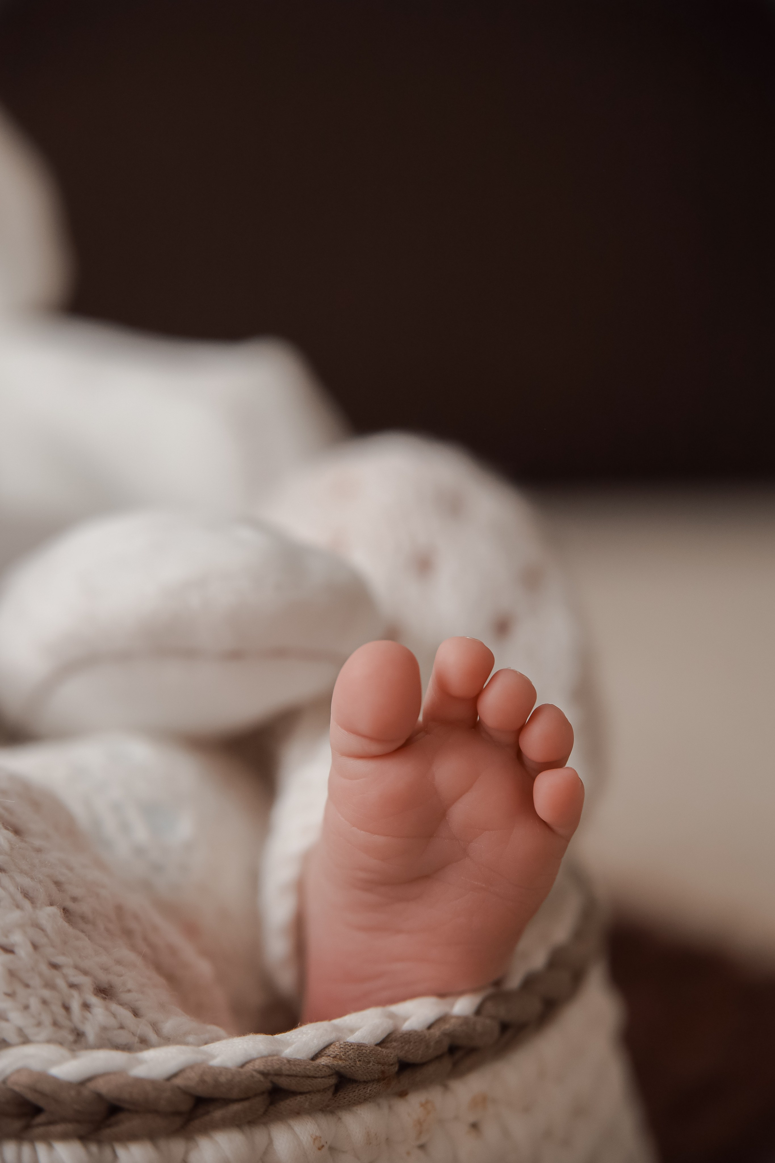 НОВОРОЖДЕННЫЕ. Детский и Семейный фотограф в Санкт-Петербурге. Детская Фотостудия «FAMILY STORY»