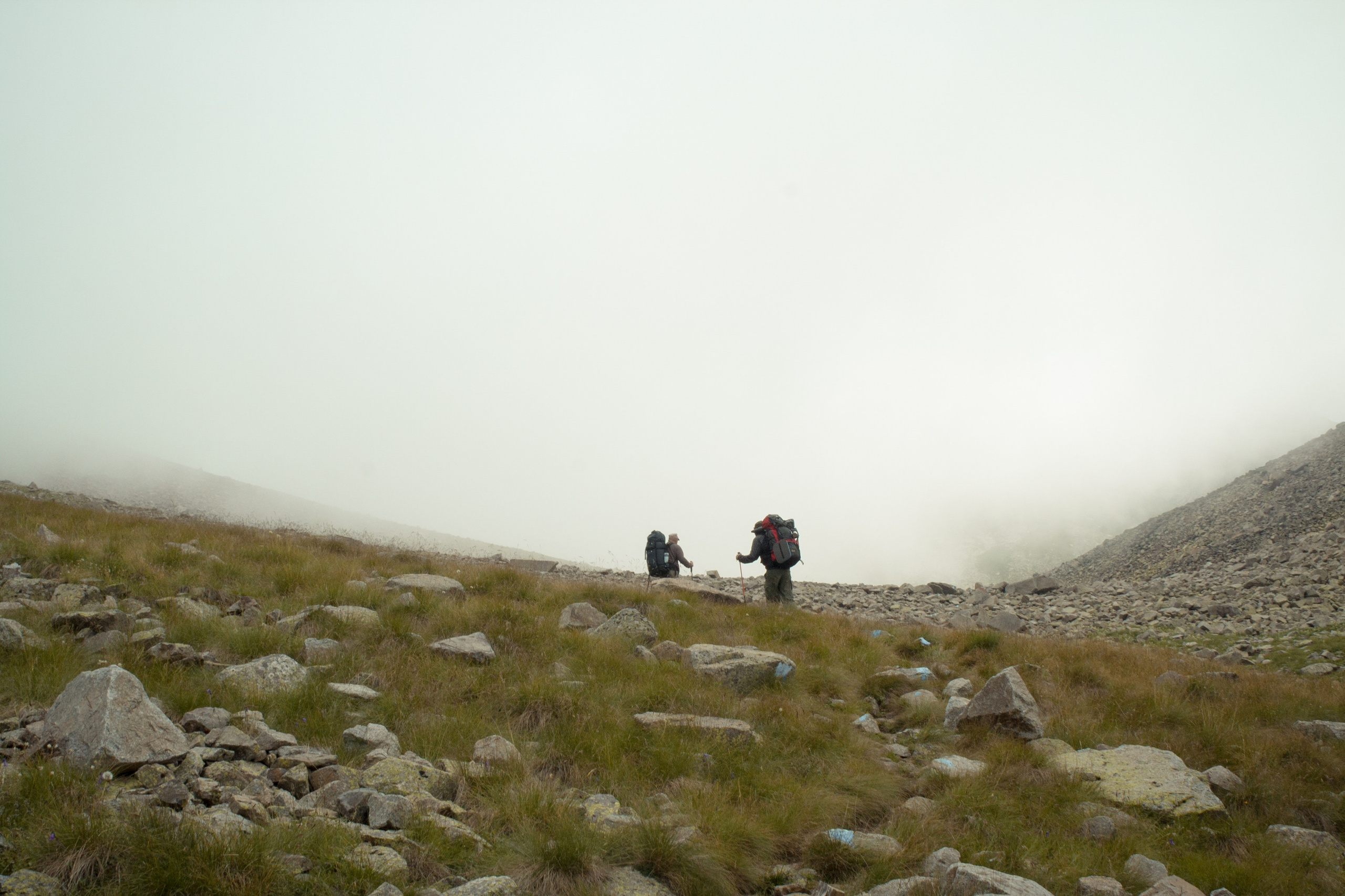 Природа. Фотограф Котий Даниил