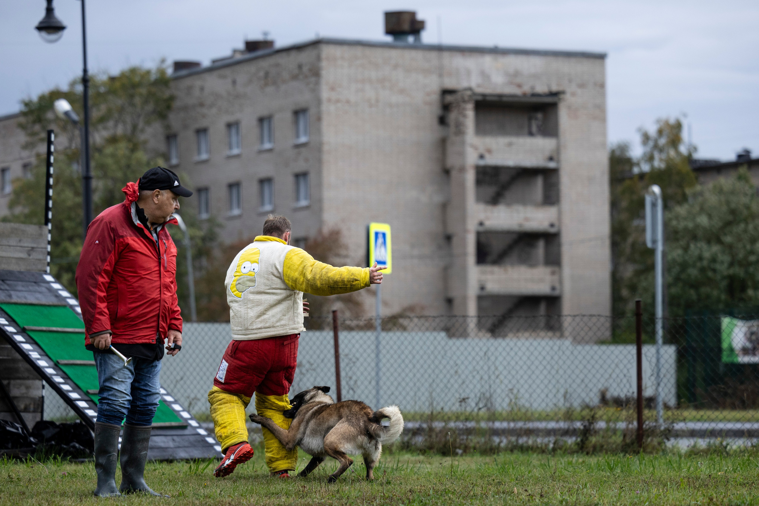 Испытания по Мондьорингу г. Пушкин. Фотограф-анималист Анна Маринич