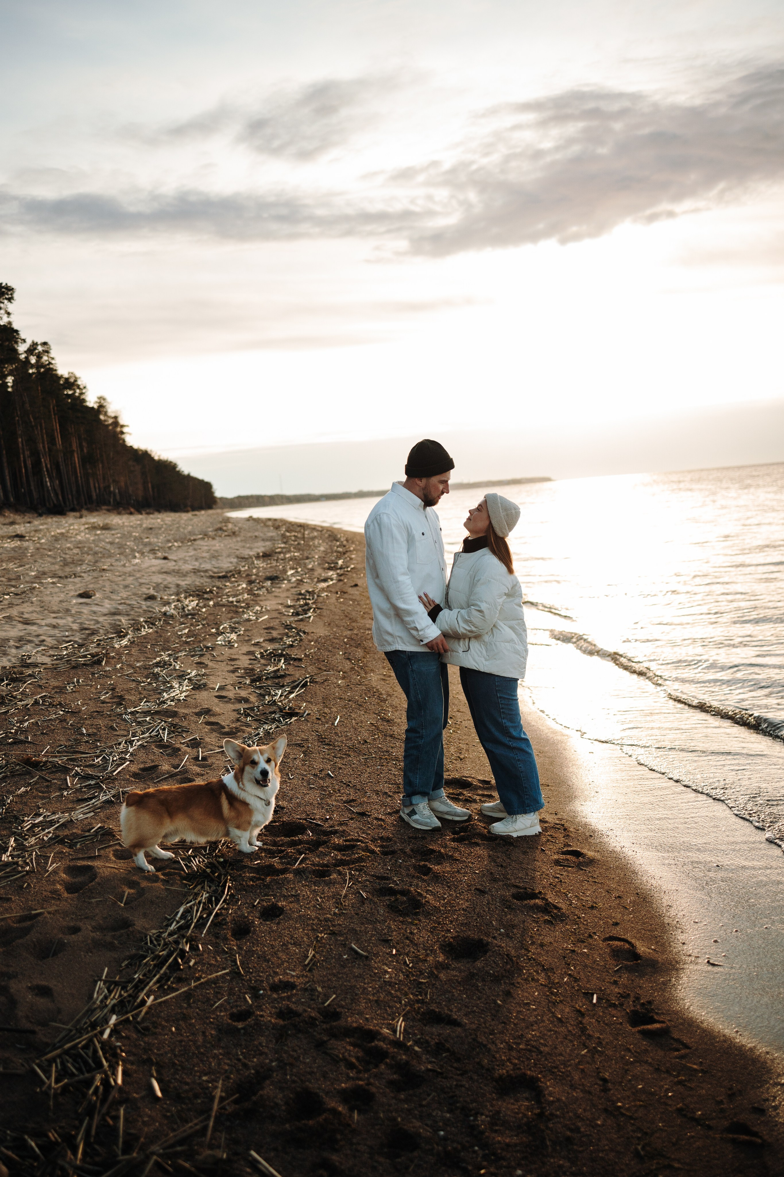 Найт и его семья. Фотограф — Анималист | Санкт-Петербург