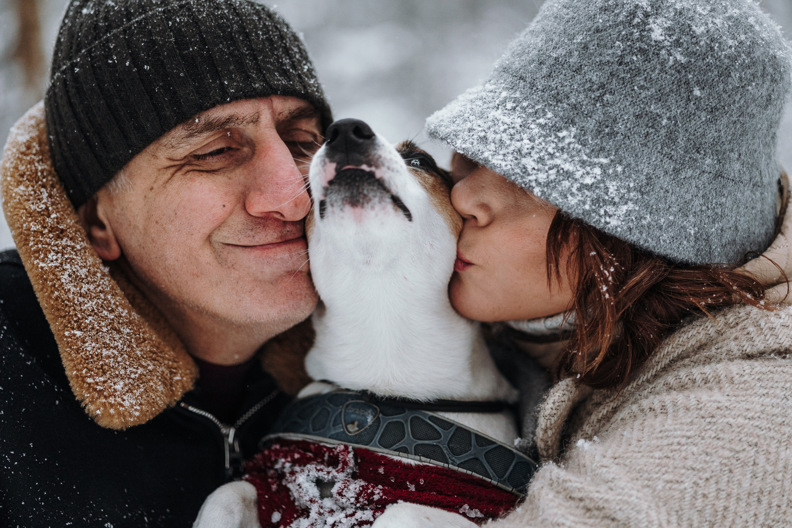 Мики и его семья. Фотограф — Анималист | Санкт-Петербург