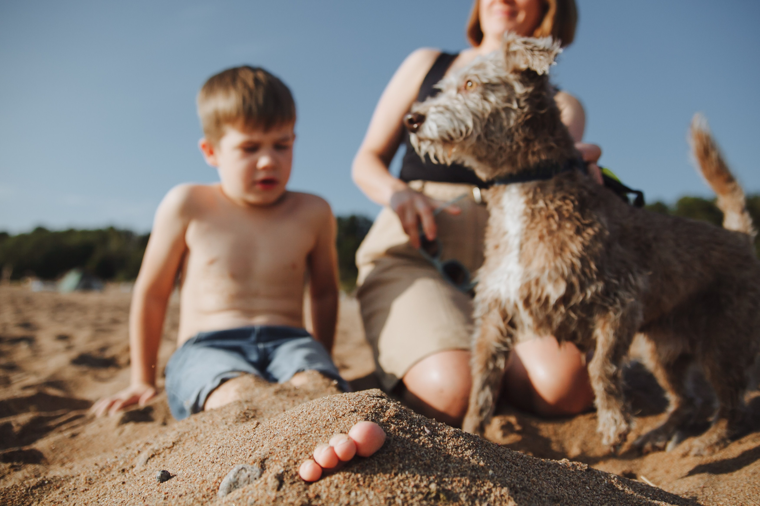 Семейная прогулка с собакой. Семейный фотограф, свадебный фотограф, женский портрет в Санкт-Петербу
