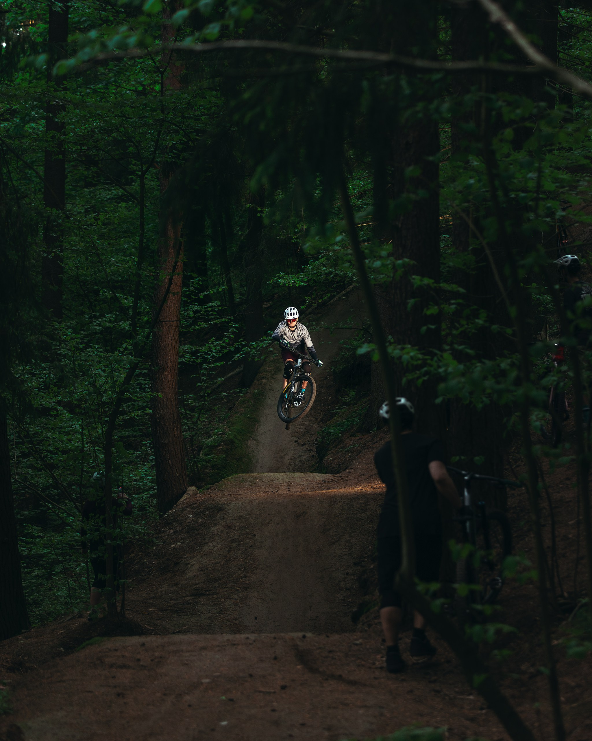 Покатушки в Огороде. Фотограф анималист Никита Натальный