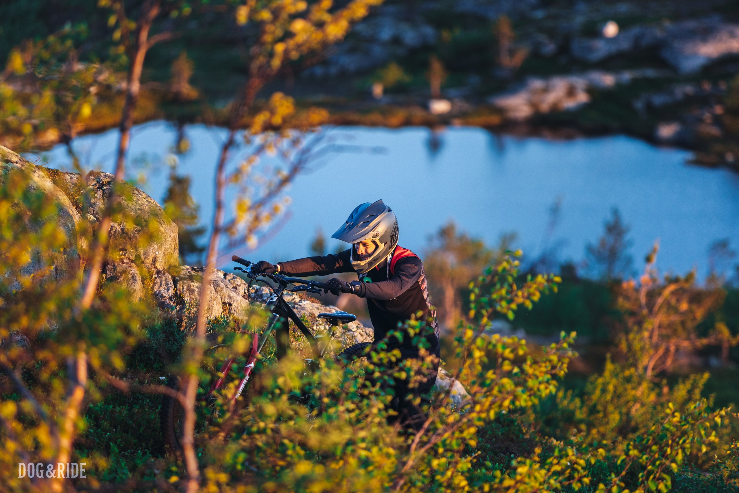 Кандалакшка. Фотограф анималист Никита Натальный