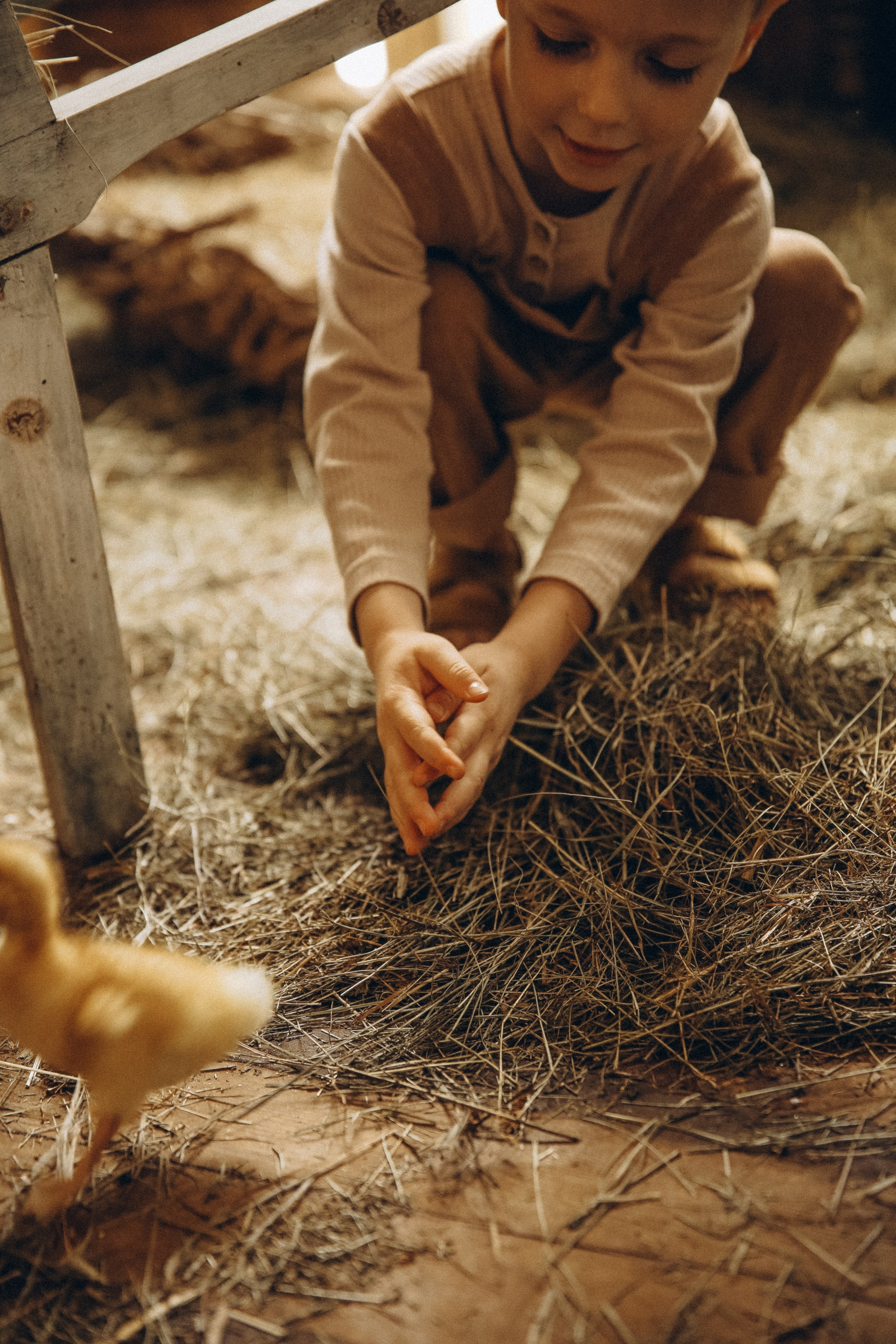 Утиное счастье. Я Лена — семейный фотограф в стиле Лайф Москва и Подмосковья: Балашиха, Пушкино, Щелково, Домодедово, Дмитров. Я за эмоции и любовь