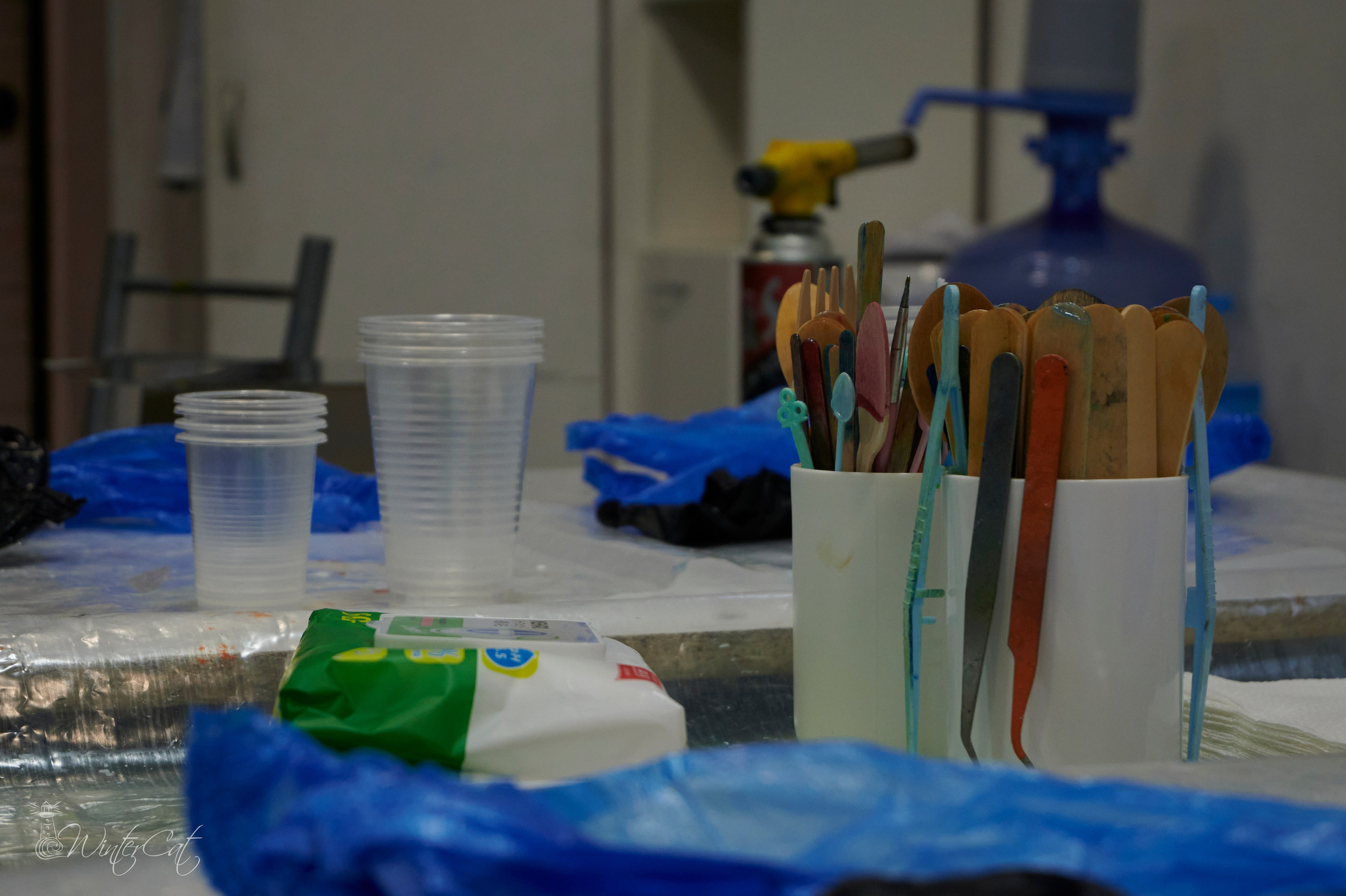 Мастер Класс Смола Ирины Чегуровой 20.10.24. Портретный и репортажный фотограф в Магадане Андрей Нефедов WinterCatPhoto