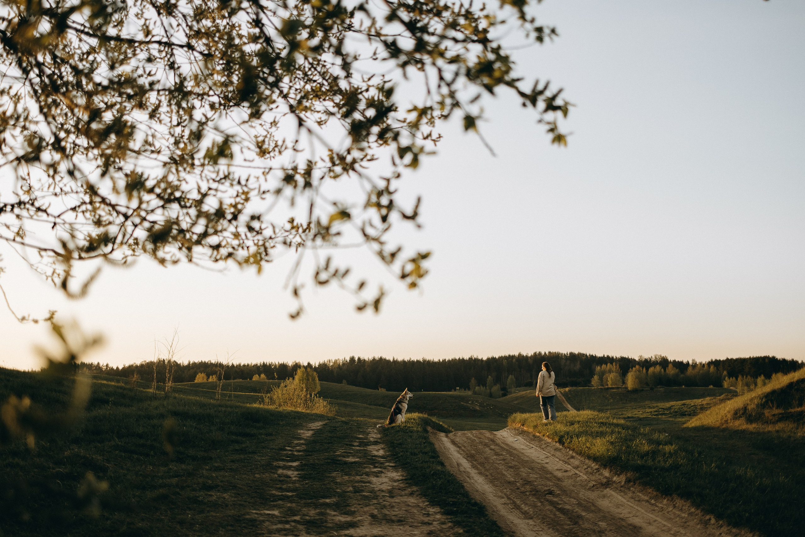 Саша и Зельда. Фотограф — Анималист | Санкт-Петербург