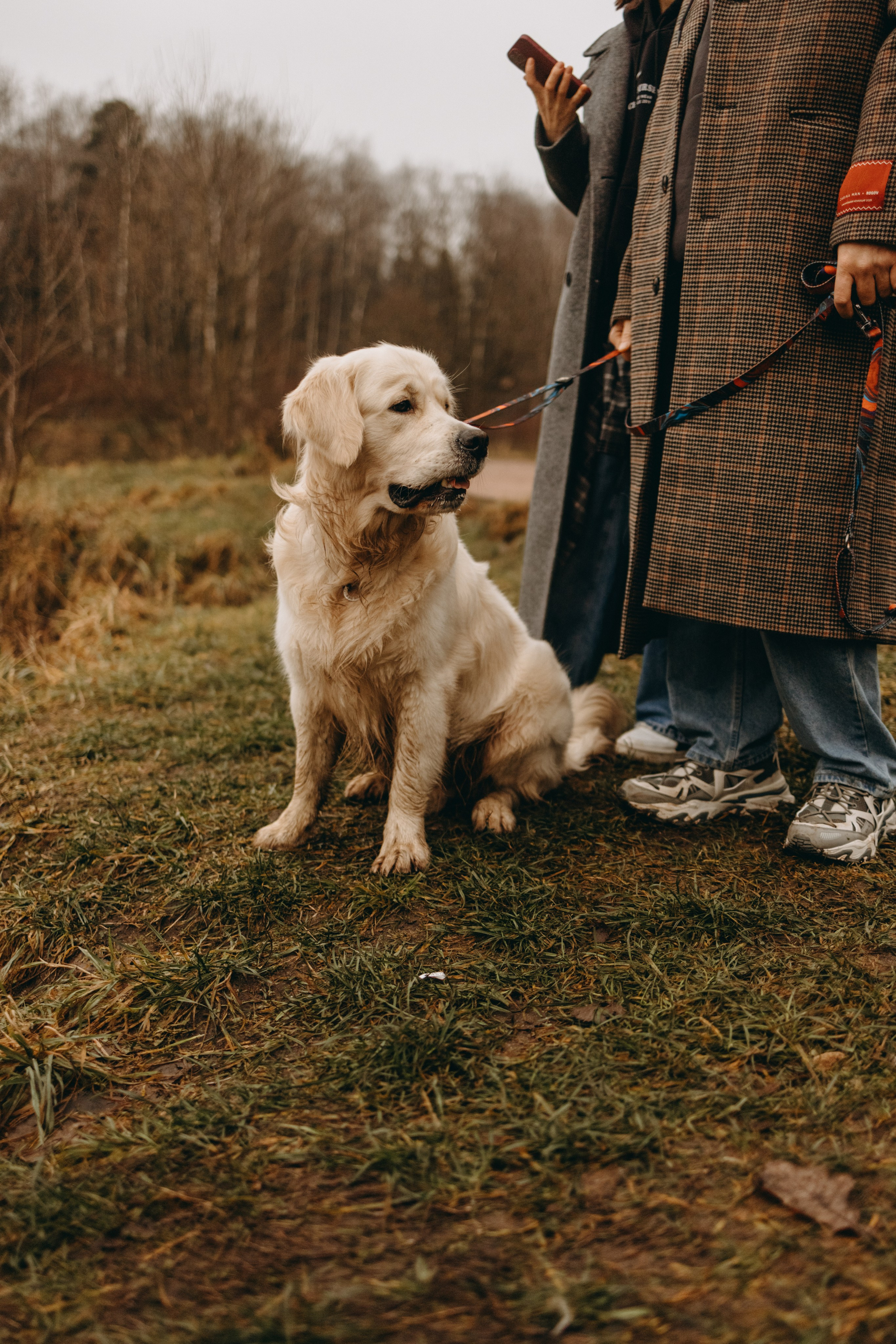 Лаки и его семья. Фотограф — Анималист | Санкт-Петербург