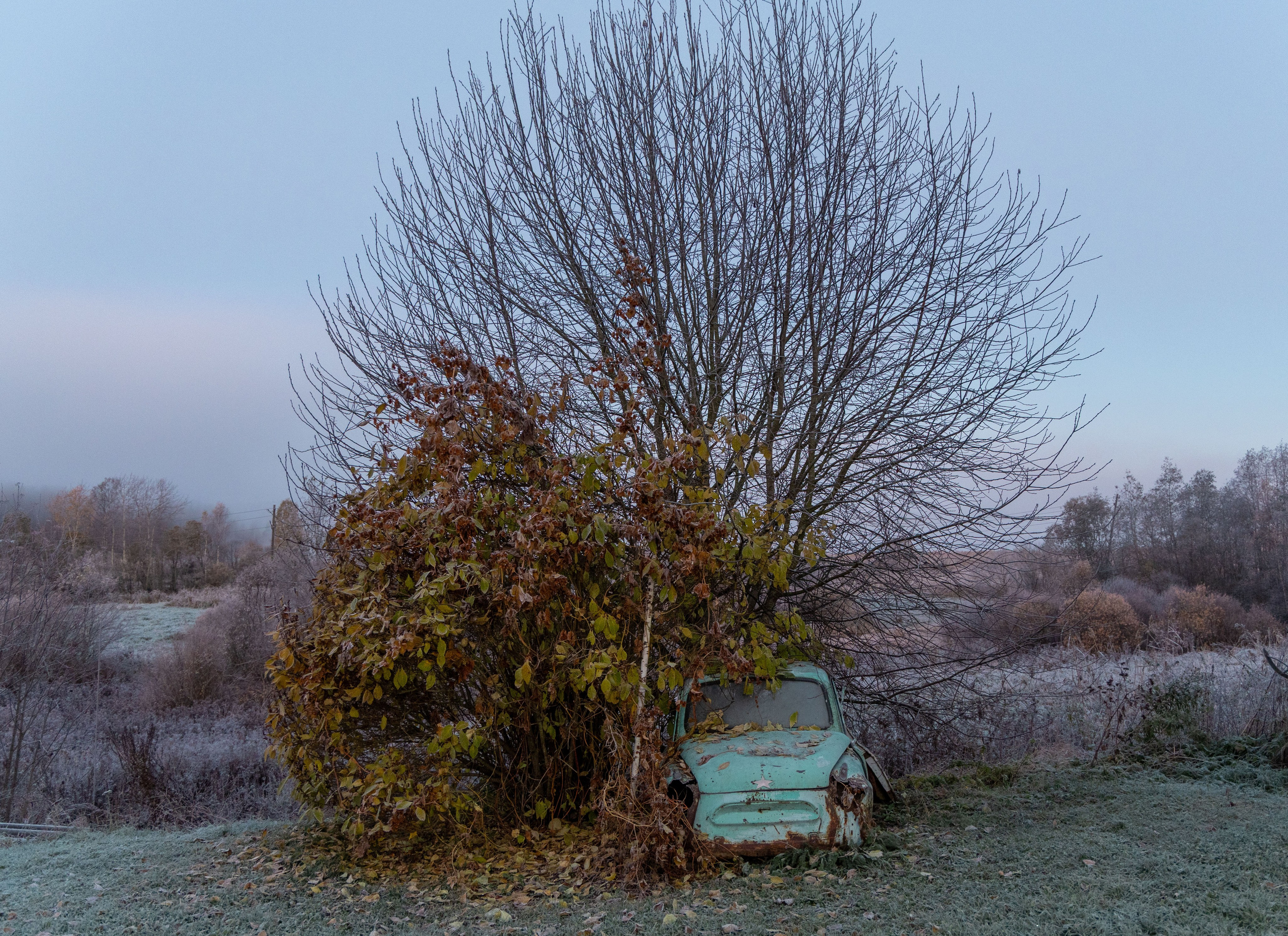 Природа Карелии октябрь 2025. Портретный и семейный фотограф Санкт-Петербург