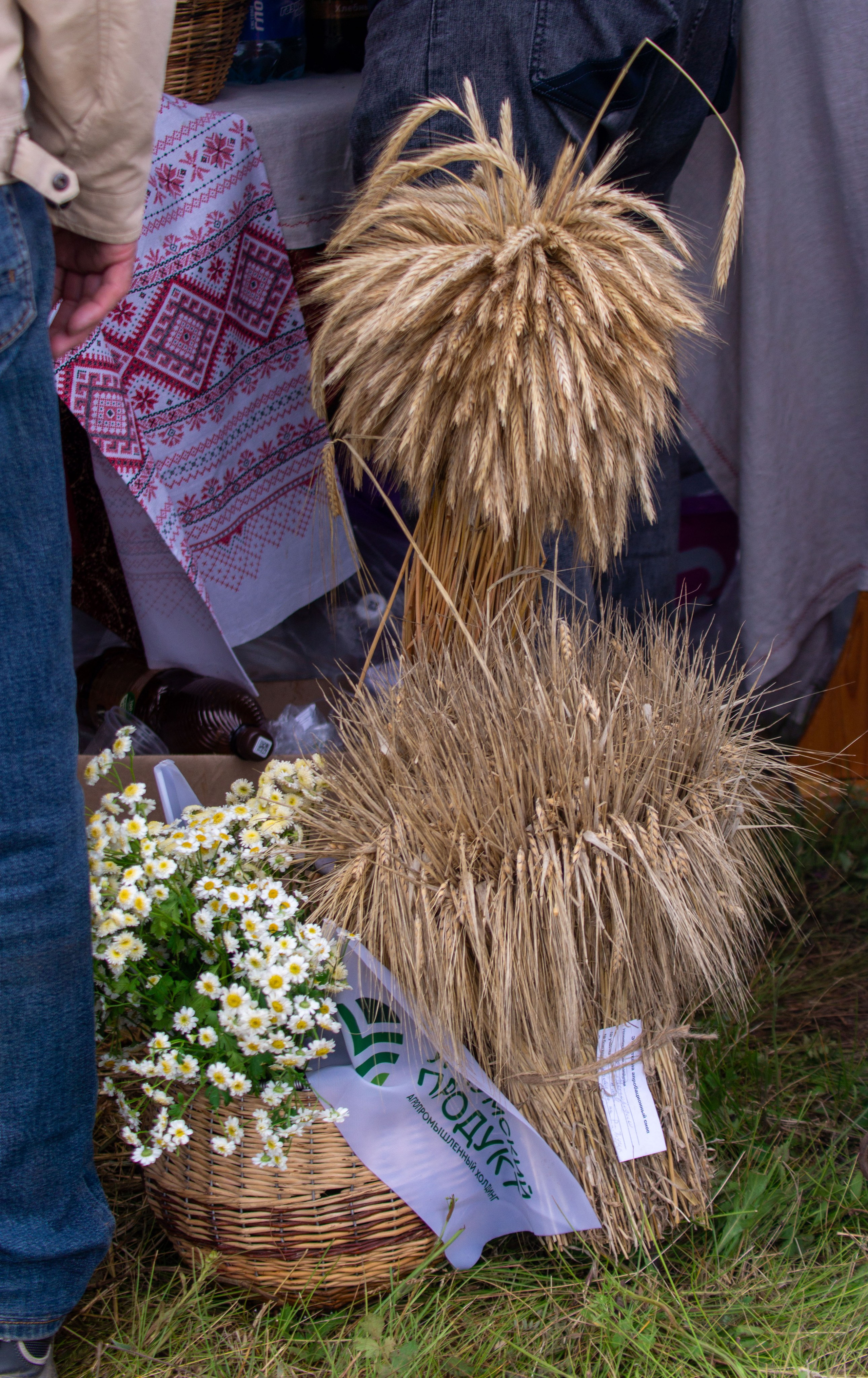 Всероссийский собантуй 2025. Портретный и семейный фотограф Санкт-Петербург