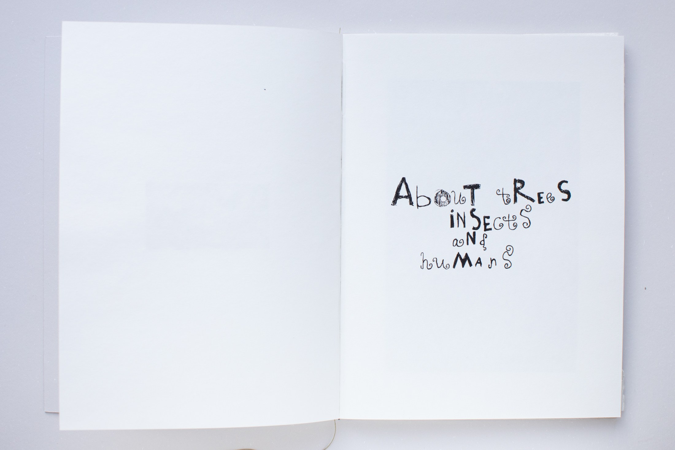 Зин «Про деревья, насекомых и людей». Natalya Madilyan