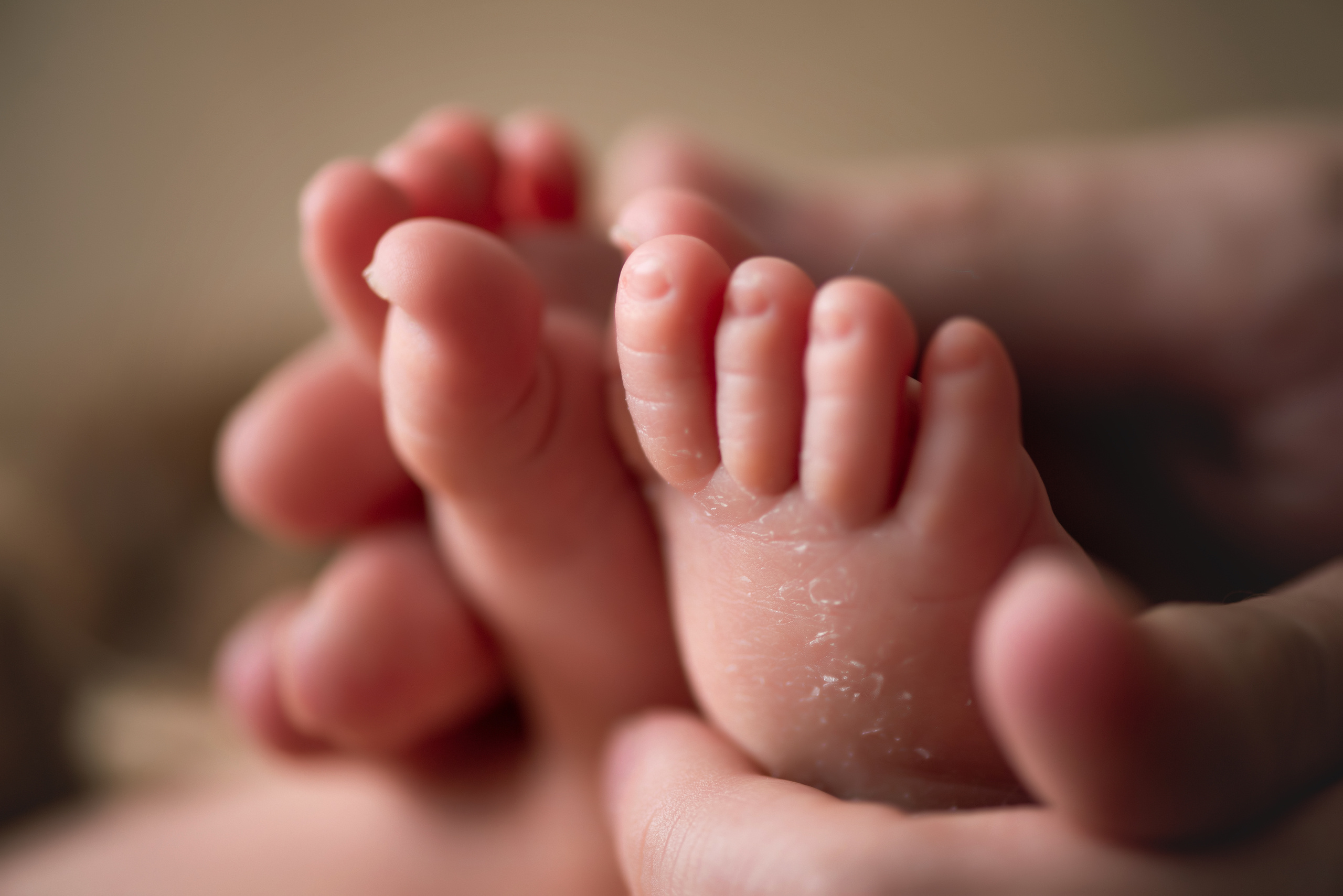 Макро. Фотограф Новорожденных во Владивостоке Ольга Галаницкая