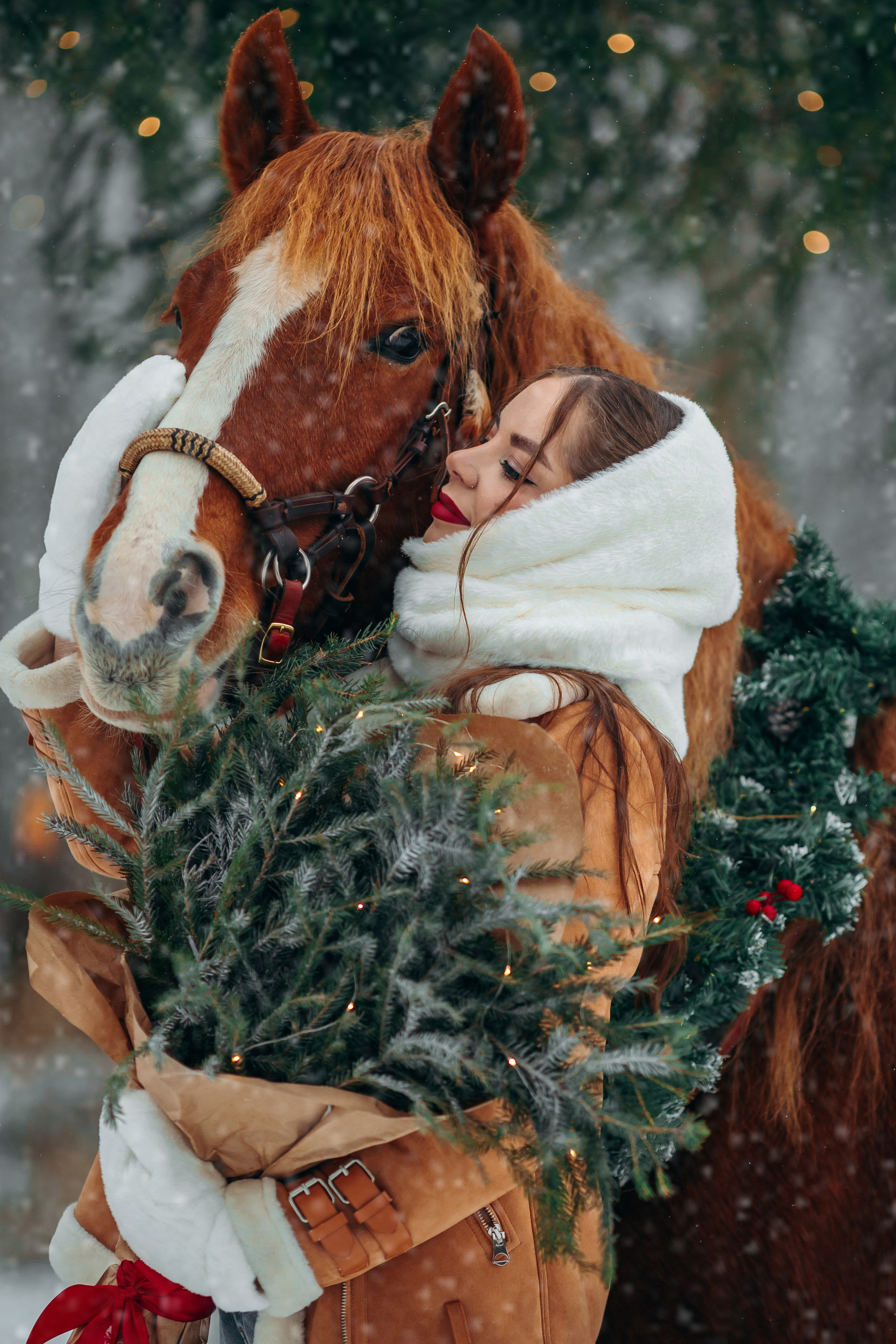 Тариф Новогодний 2025-2026. Анна Молчанова конный фотограф в Тюмени | фотосессии с лошадьми Тюмень