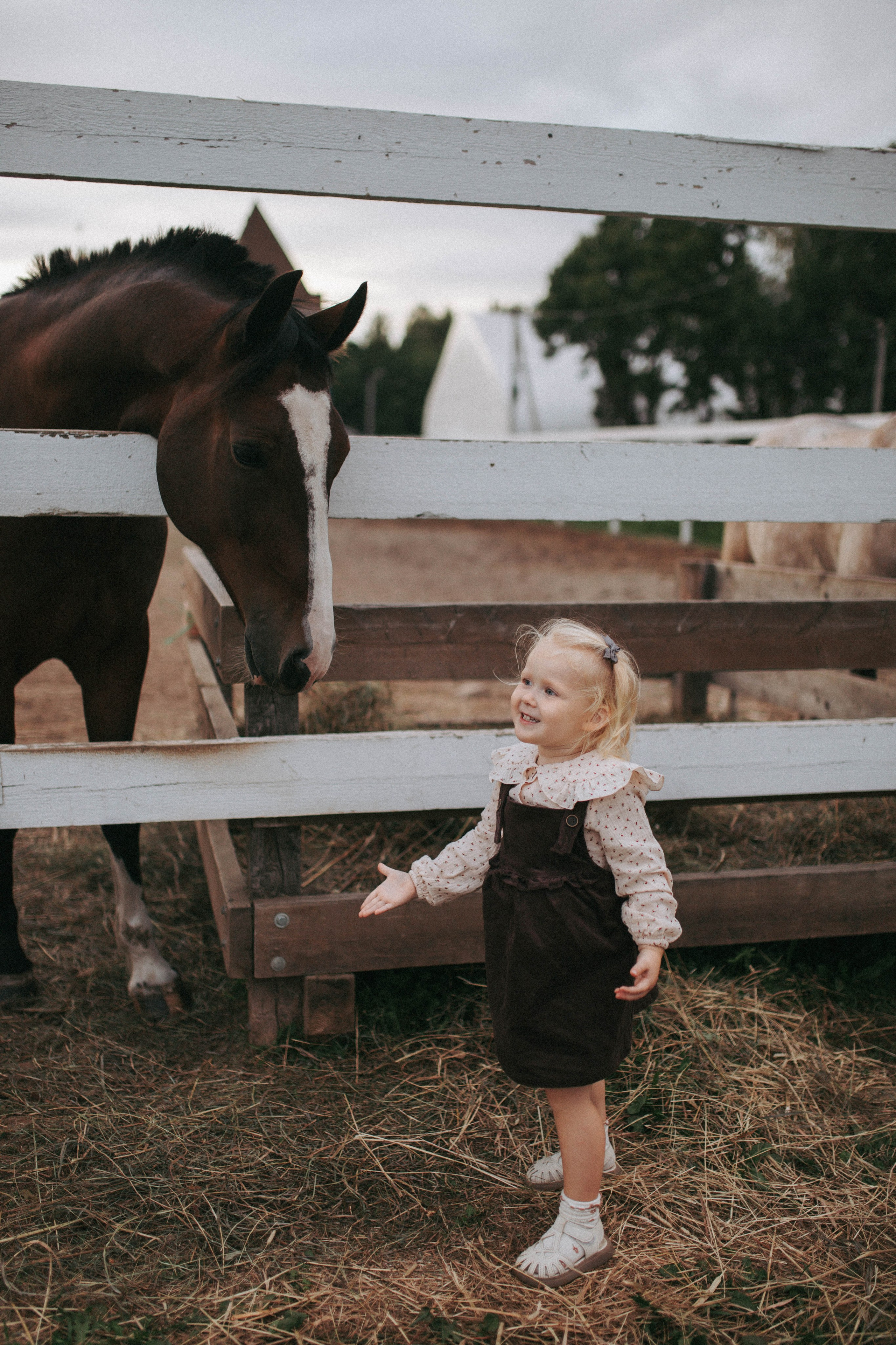 Одним тёплым вечером на ферме с лошадками. Свадебный и семейный фотограф в Нижнем Новгороде