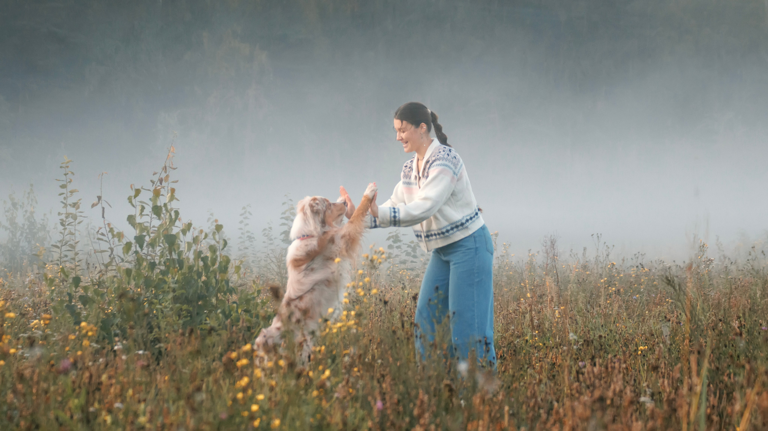 Летний рассвет с Майроном и Ланой. Стас Соболь, фотограф анималист, репортажник, Москва