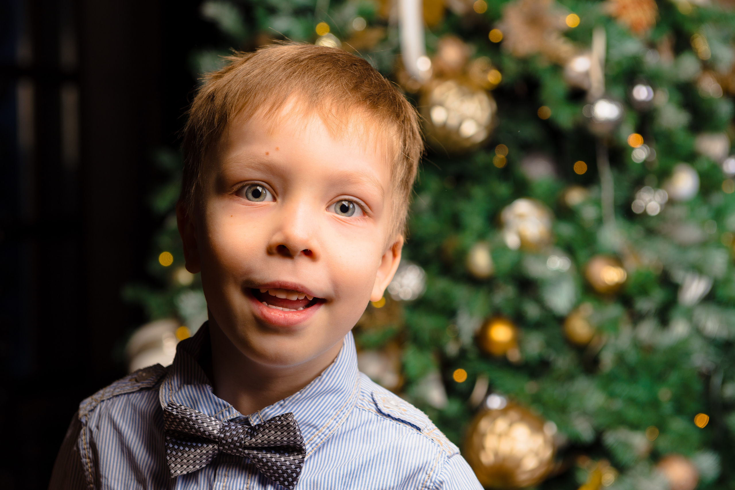 🌲Новый год. Семейный фотограф Василий Свешников