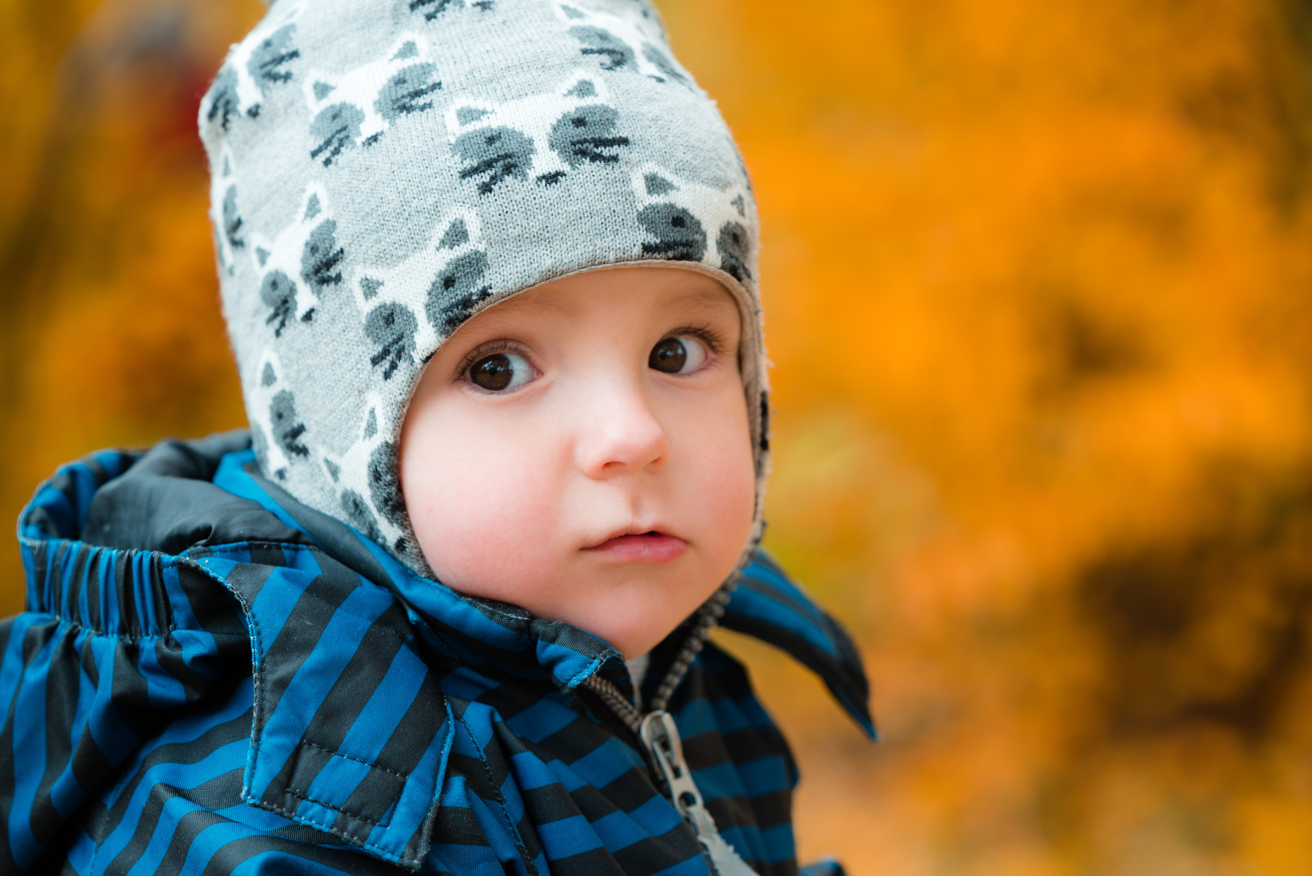 Золотая осень. Семейный фотограф Василий Свешников