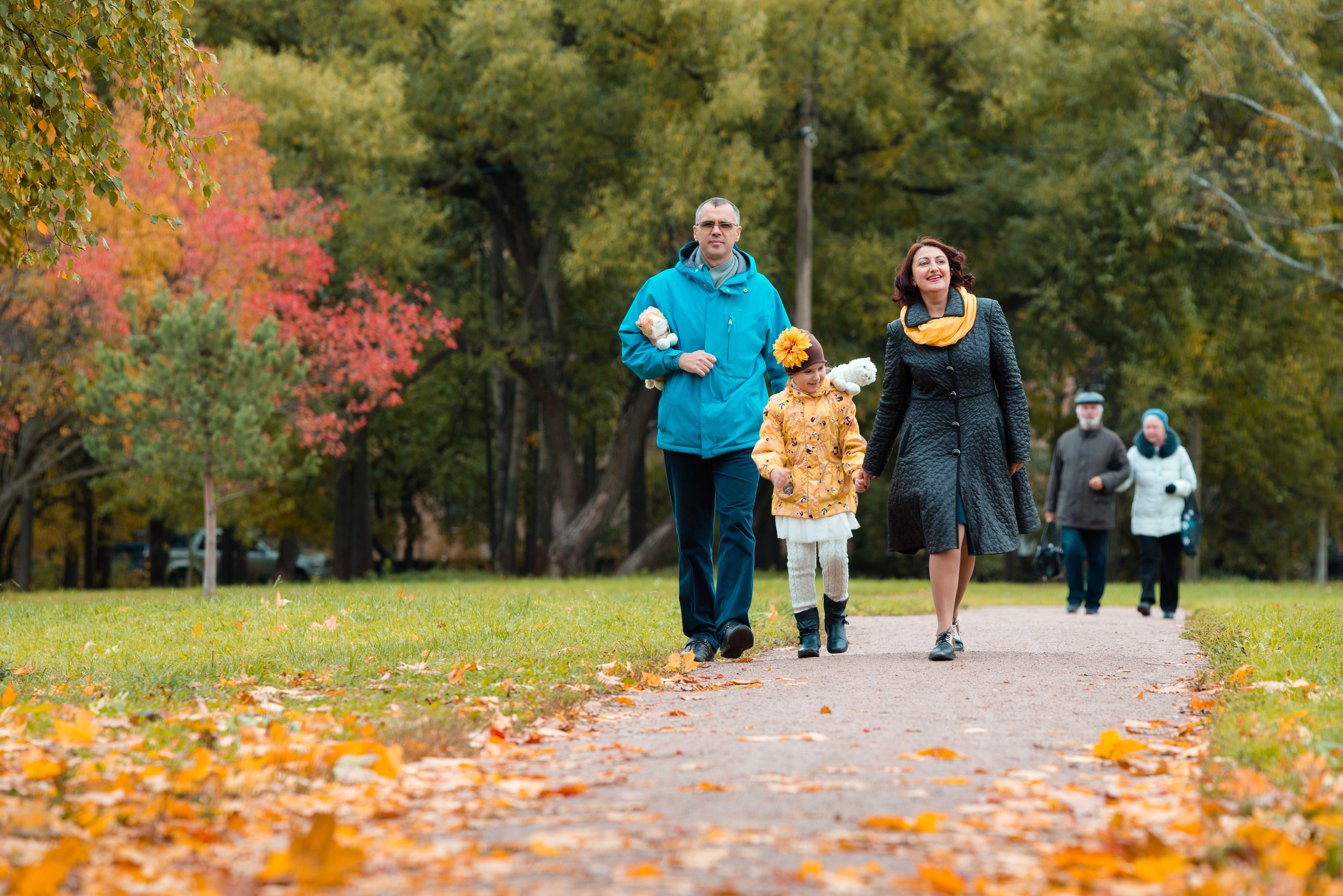 Золотая осень. Семейный фотограф Василий Свешников
