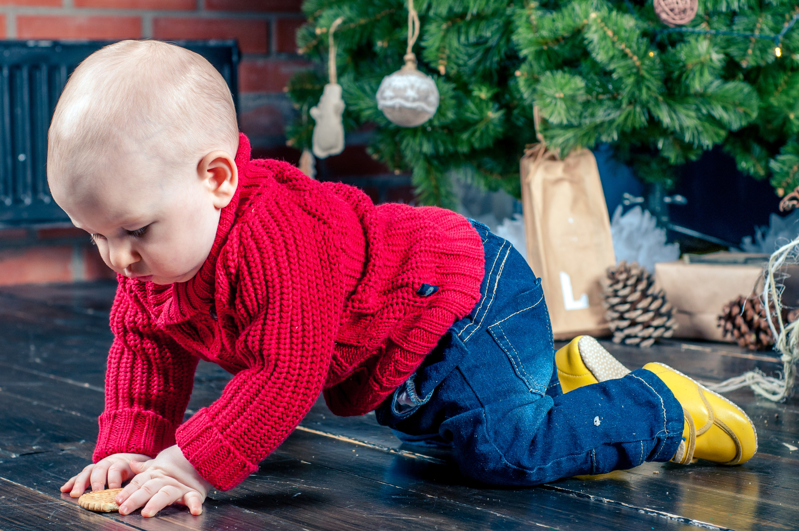 🌲Новый год. Семейный фотограф Василий Свешников