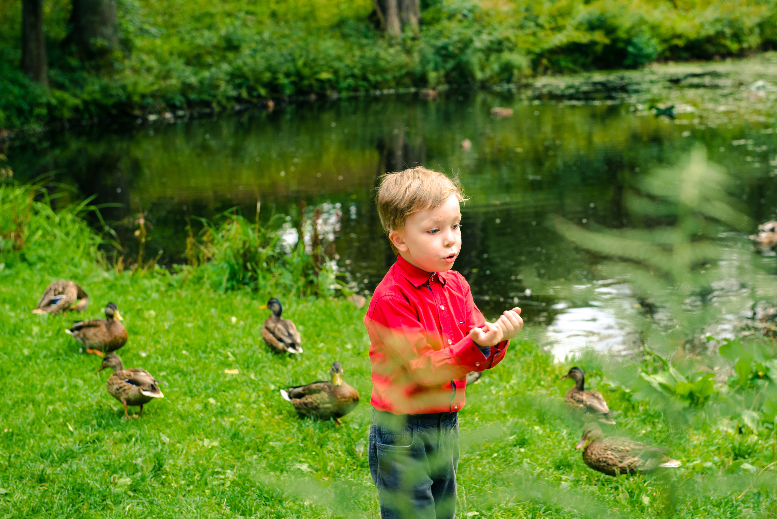 Прогулка в Александрии. Семейный фотограф Василий Свешников