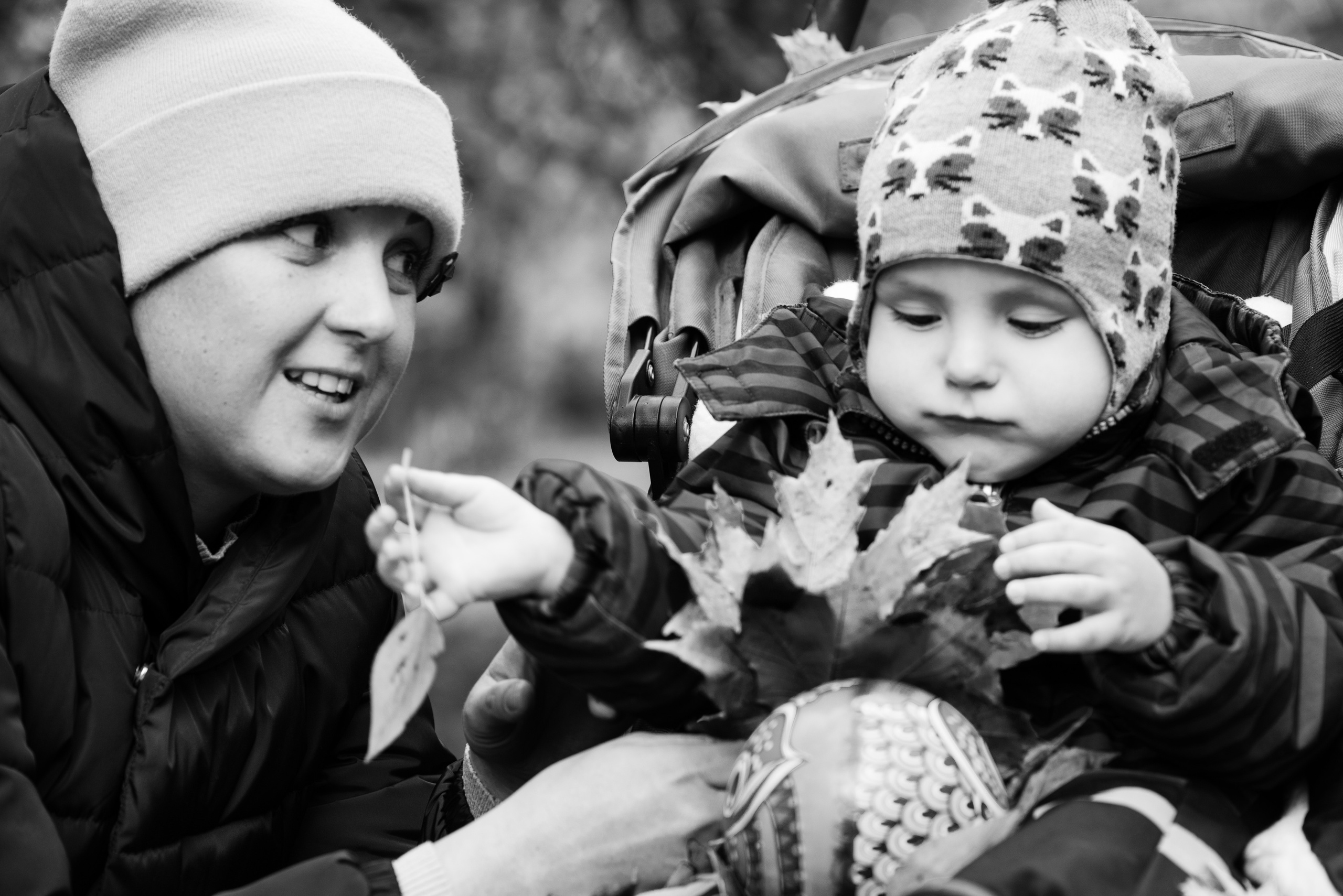 Золотая осень. Семейный фотограф Василий Свешников