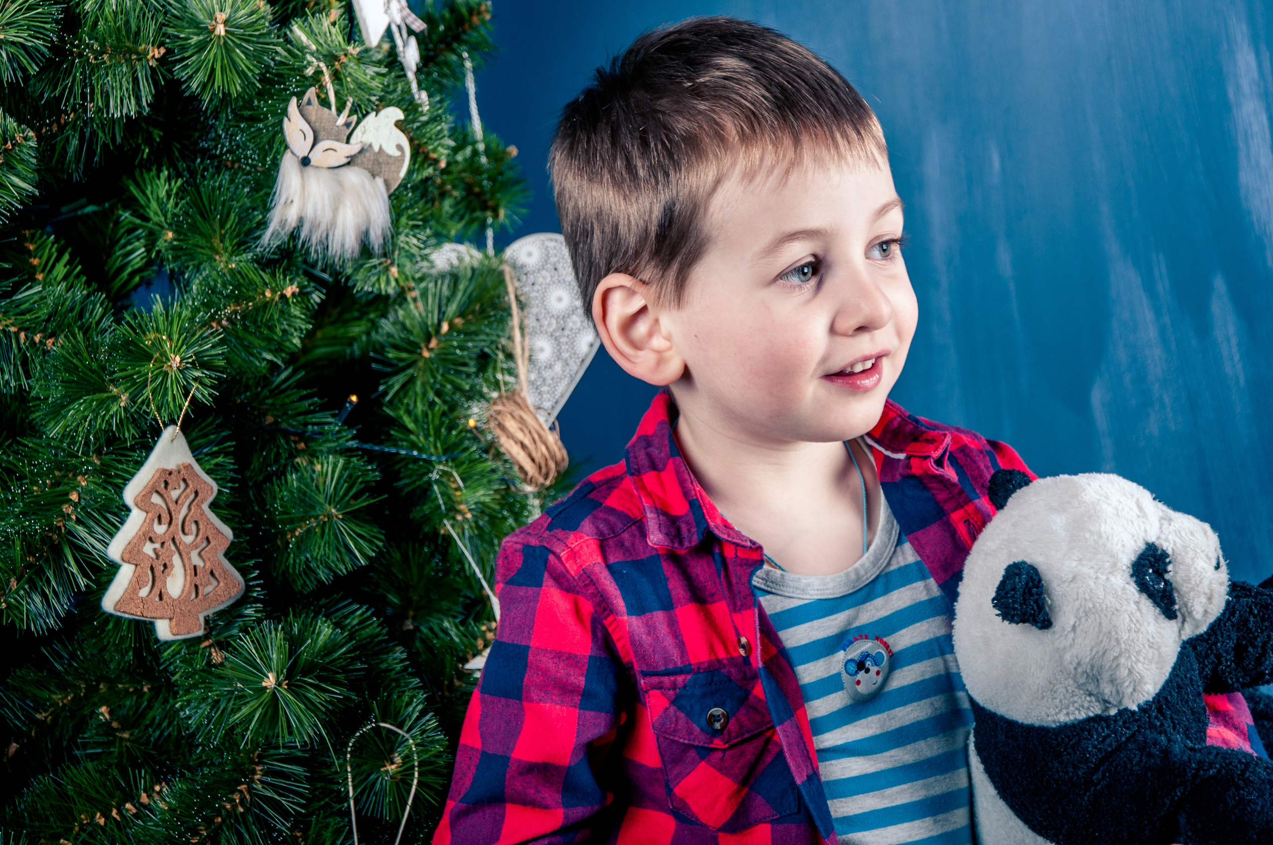 🌲Новый год. Семейный фотограф Василий Свешников