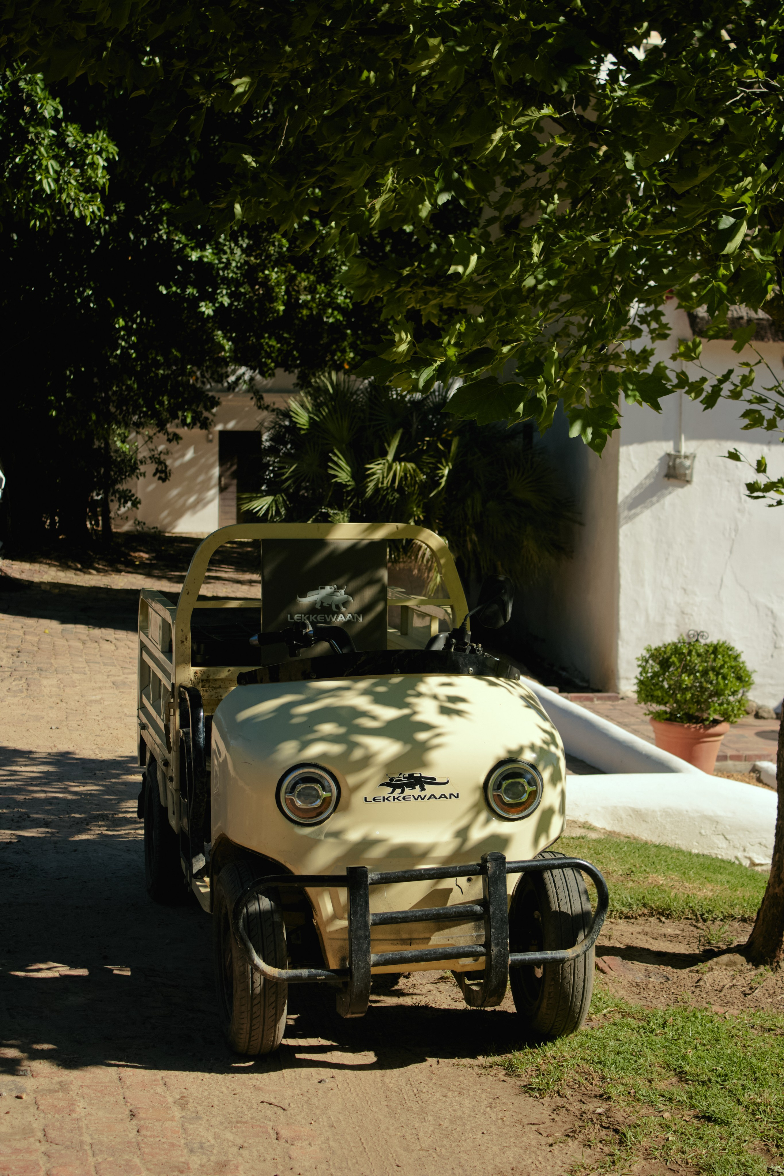 ЮАР. Профессиональный Фотограф во Владимире, в Москве и в Суздале — Полина Романычева
