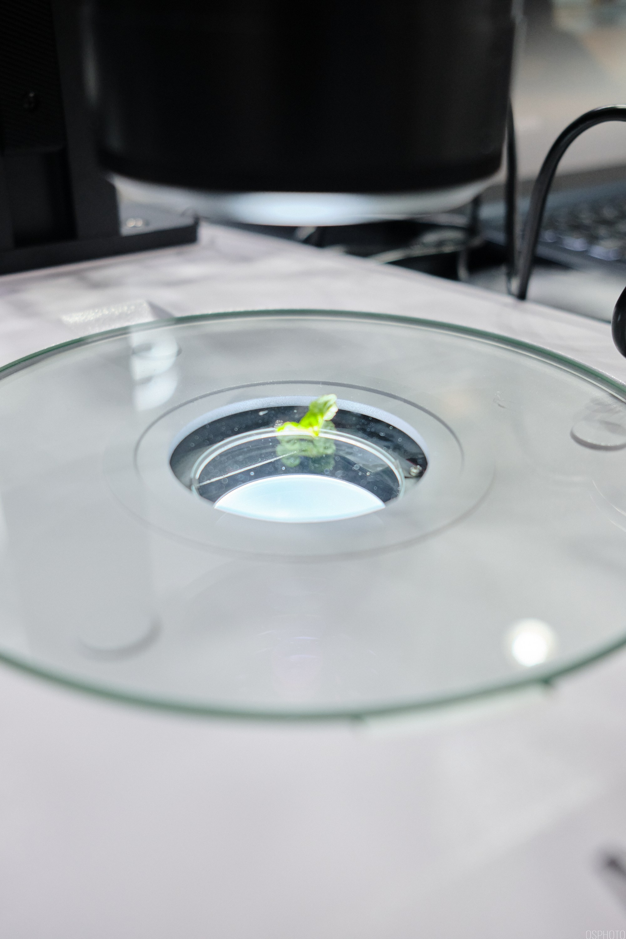 Аналитика Экспо | Крокус Экспо. OSPhoto