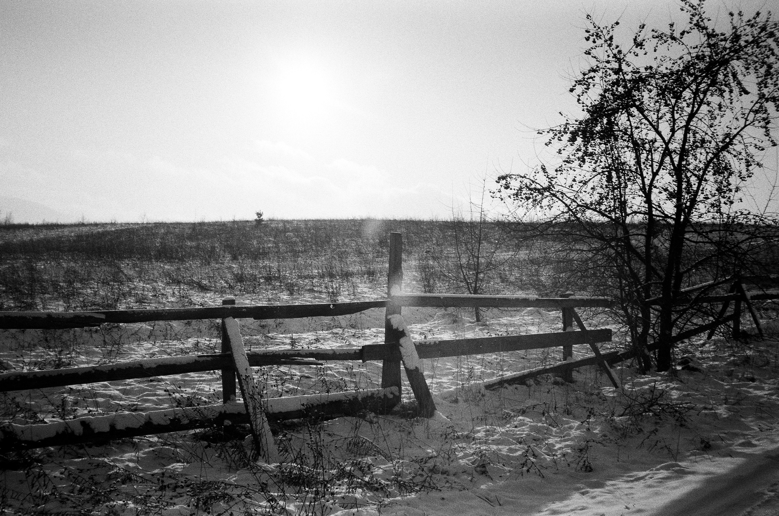 Дорога к горе Чертов палец и озеро Ая. Фотограф-документалист Мария Осокина
