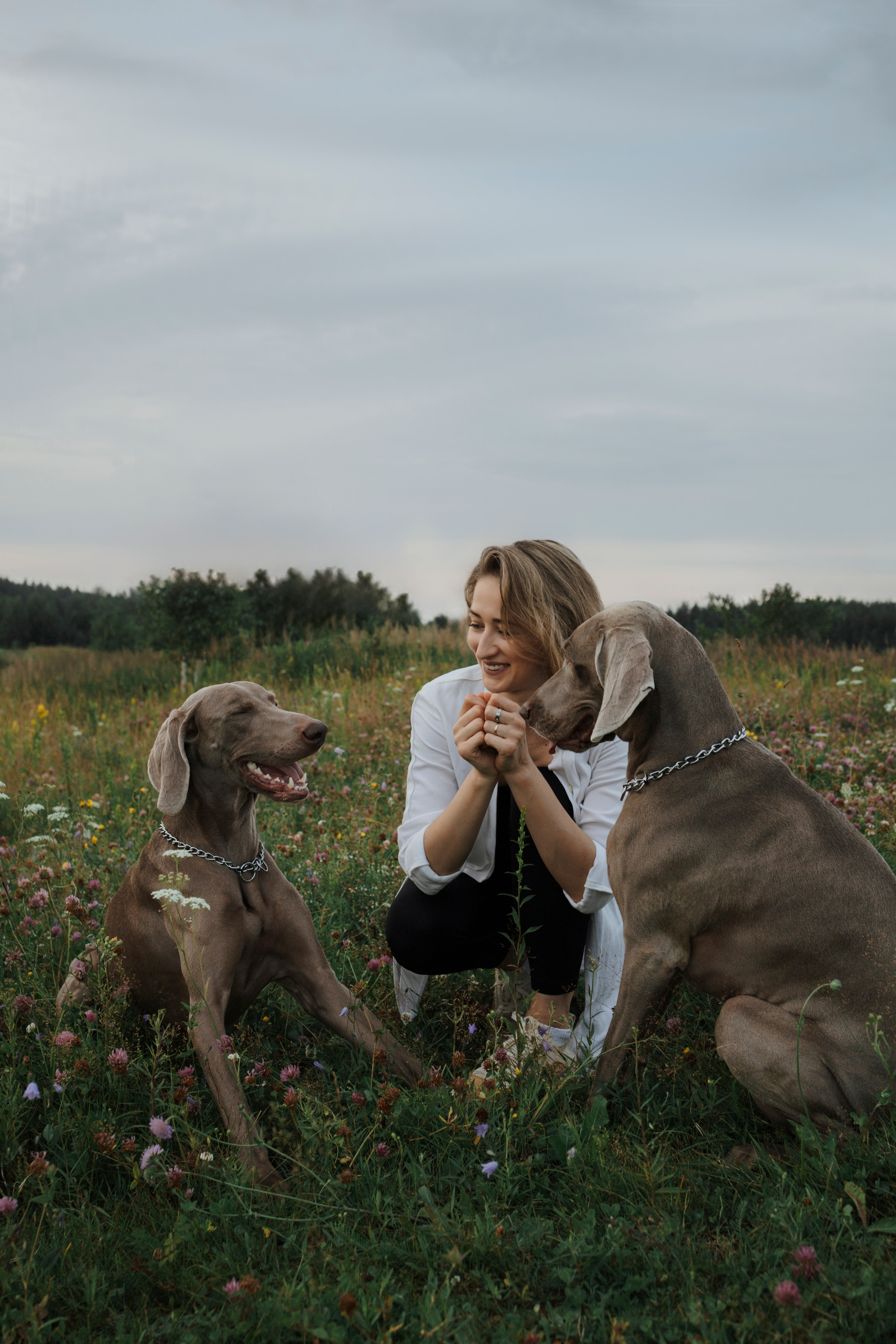 Маргарита и веймаранеры. Фотограф-анималист в Санкт-Петеребурге Титова Алиса