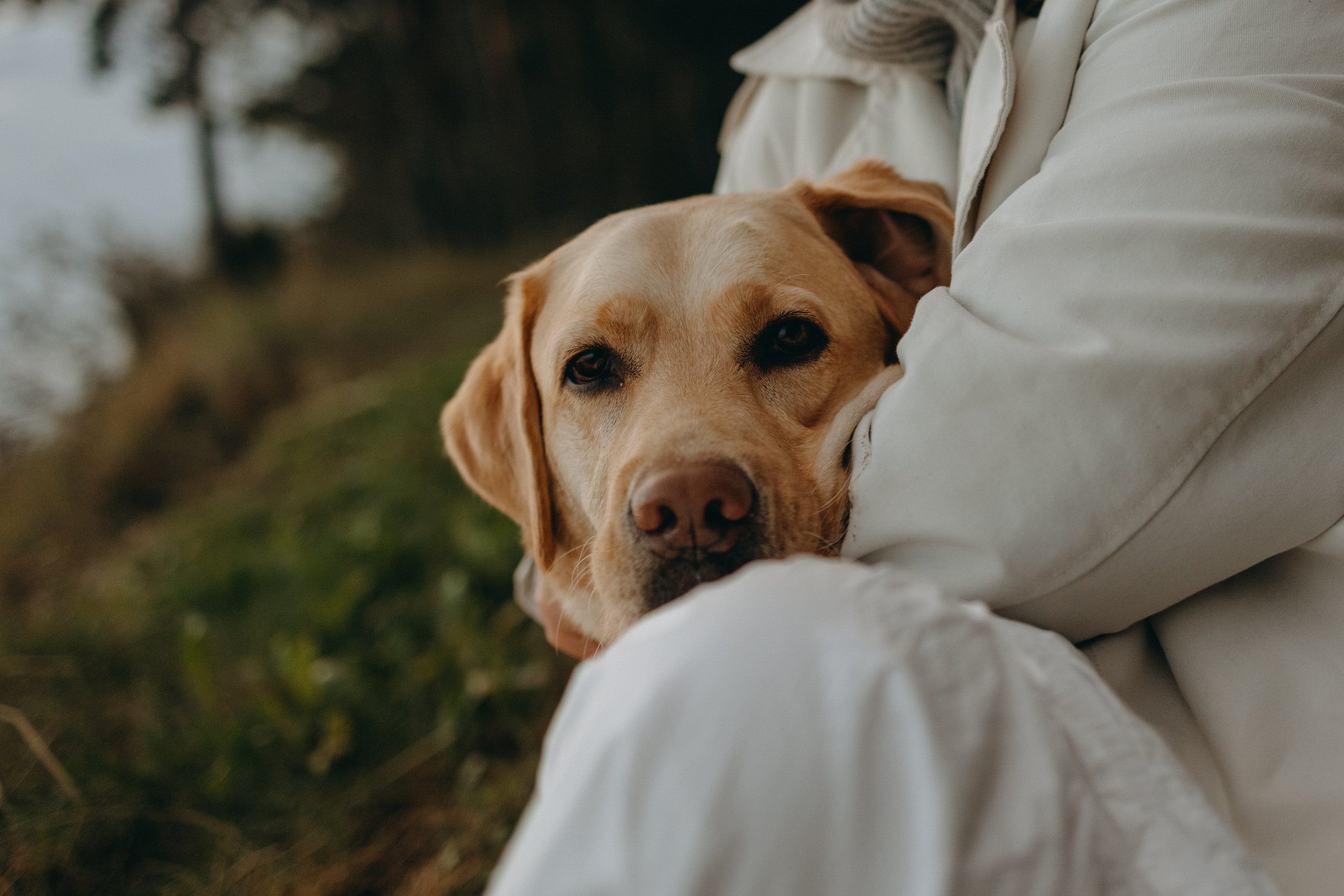 Наташа и Шани. Фотограф — Анималист | Санкт-Петербург