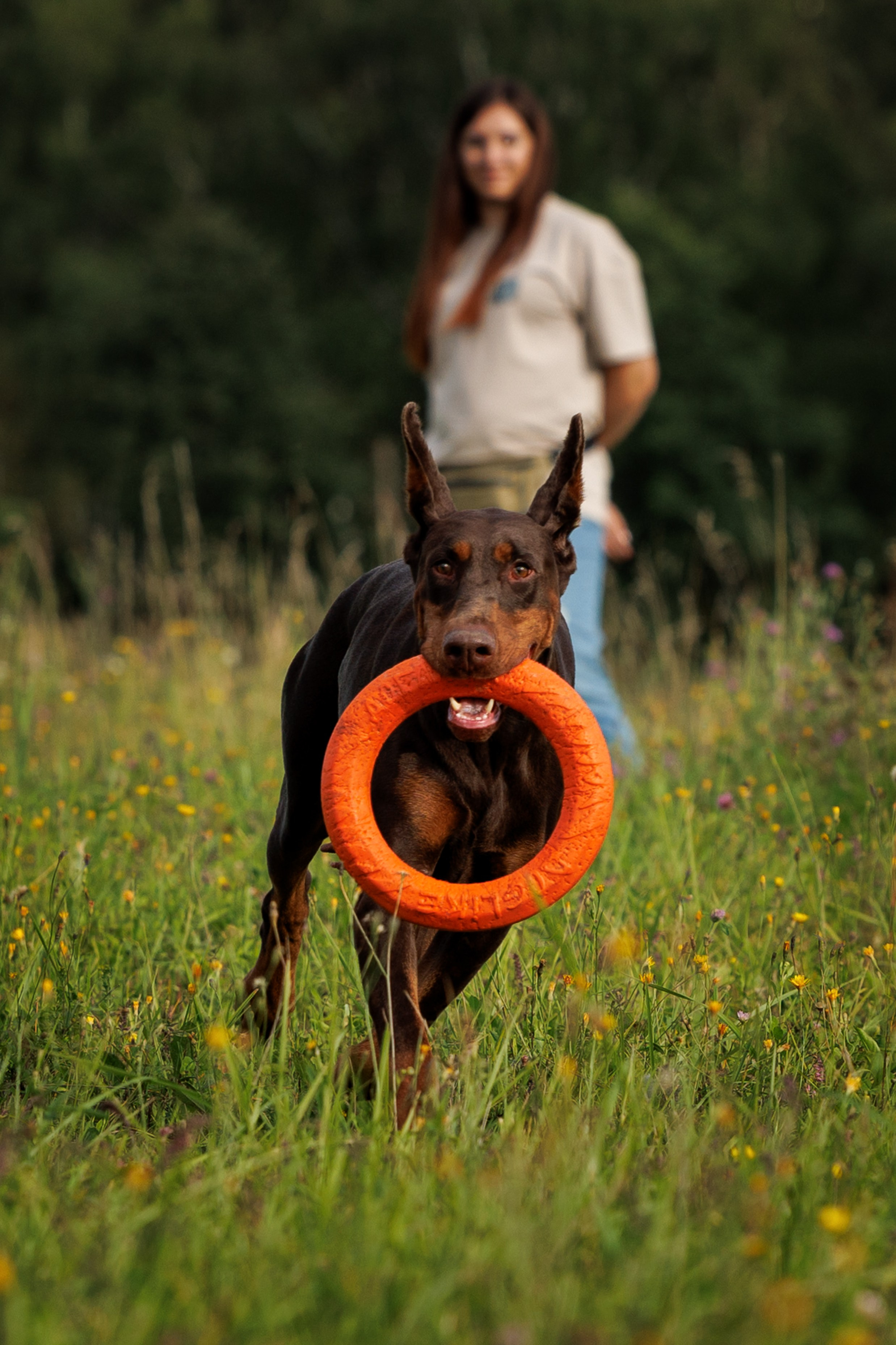 Портфолио: Фотосессии людей с собаками — душевные кадры. Фотограф-анималист и бренд-фотограф в Москве | Фотография собак, людей, бизнес-портрет