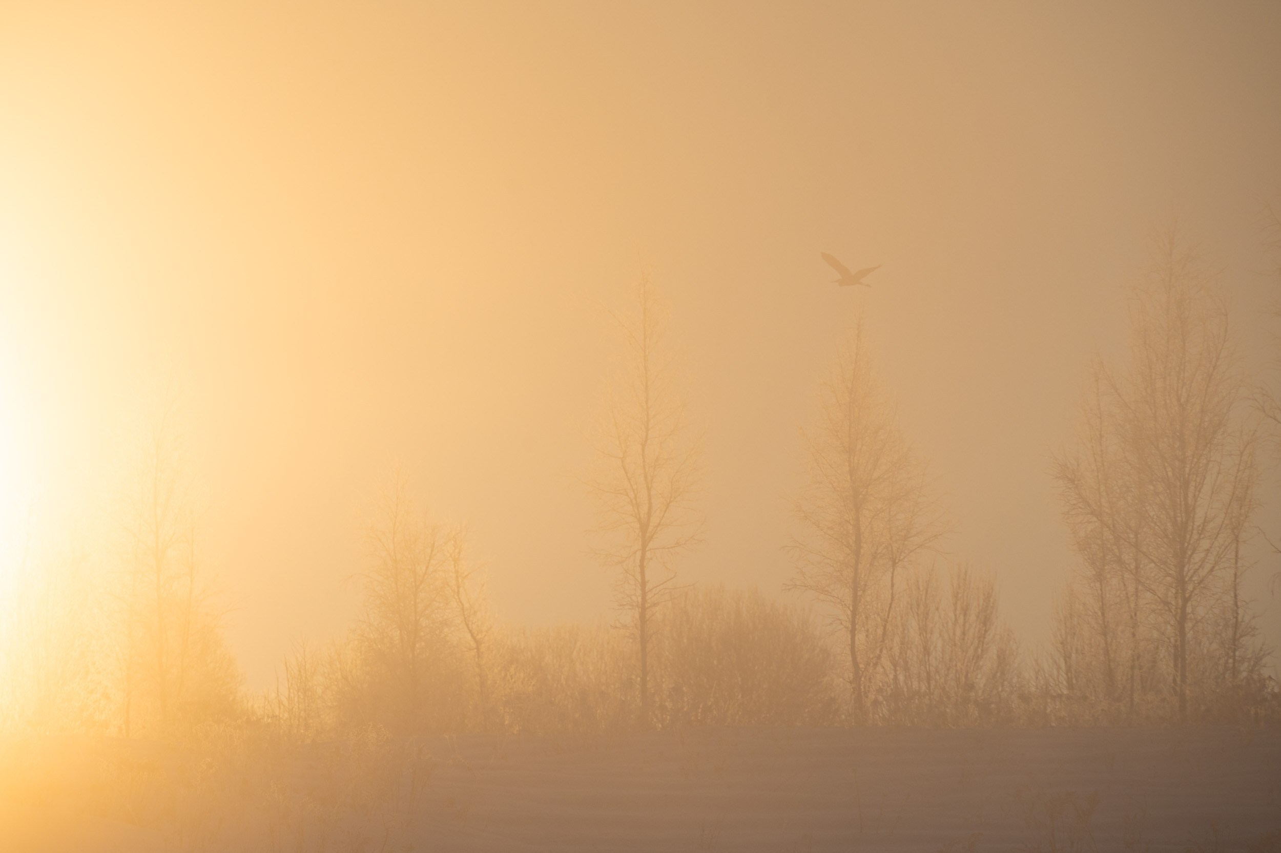 Река Дёготня. Фотограф и видеооператор в Туле | Даниил Рыбак