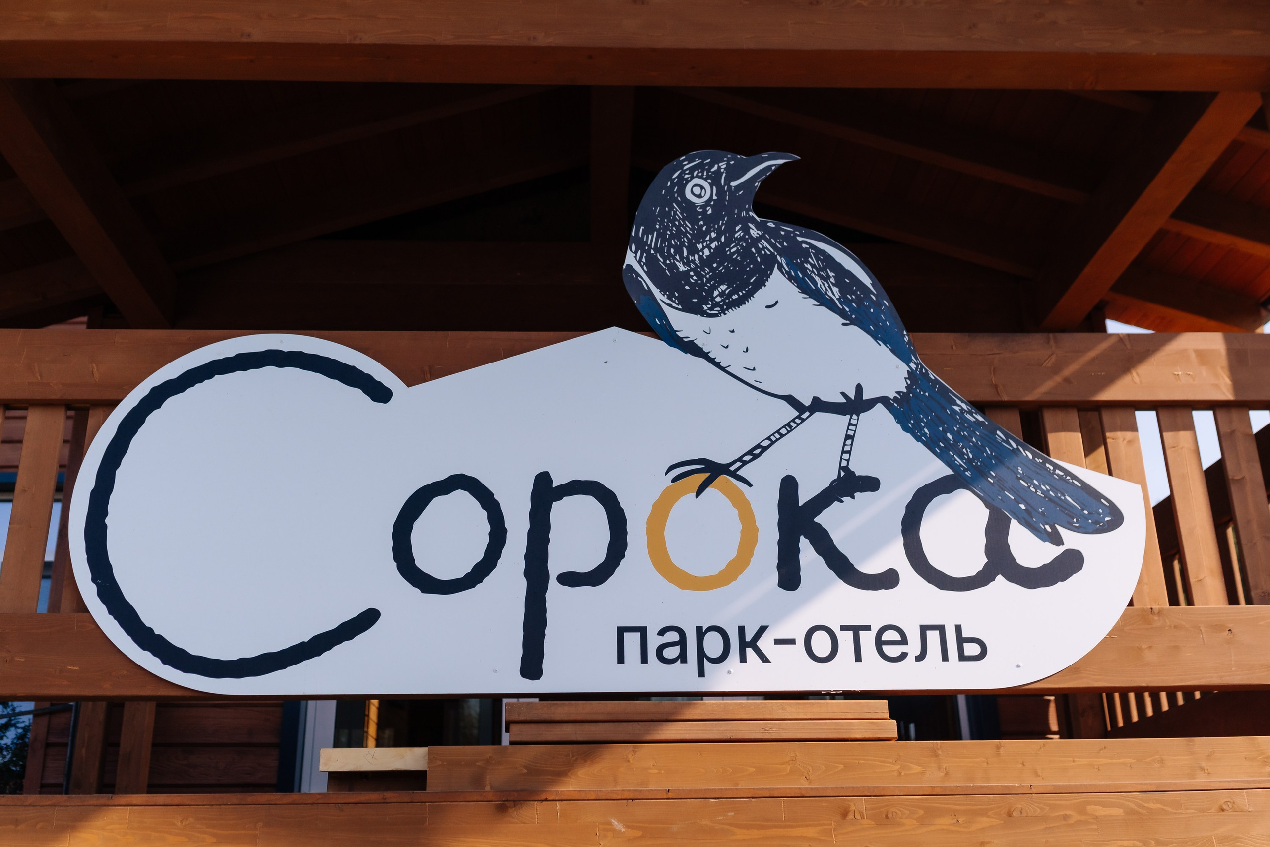 Дневные события. Geometria