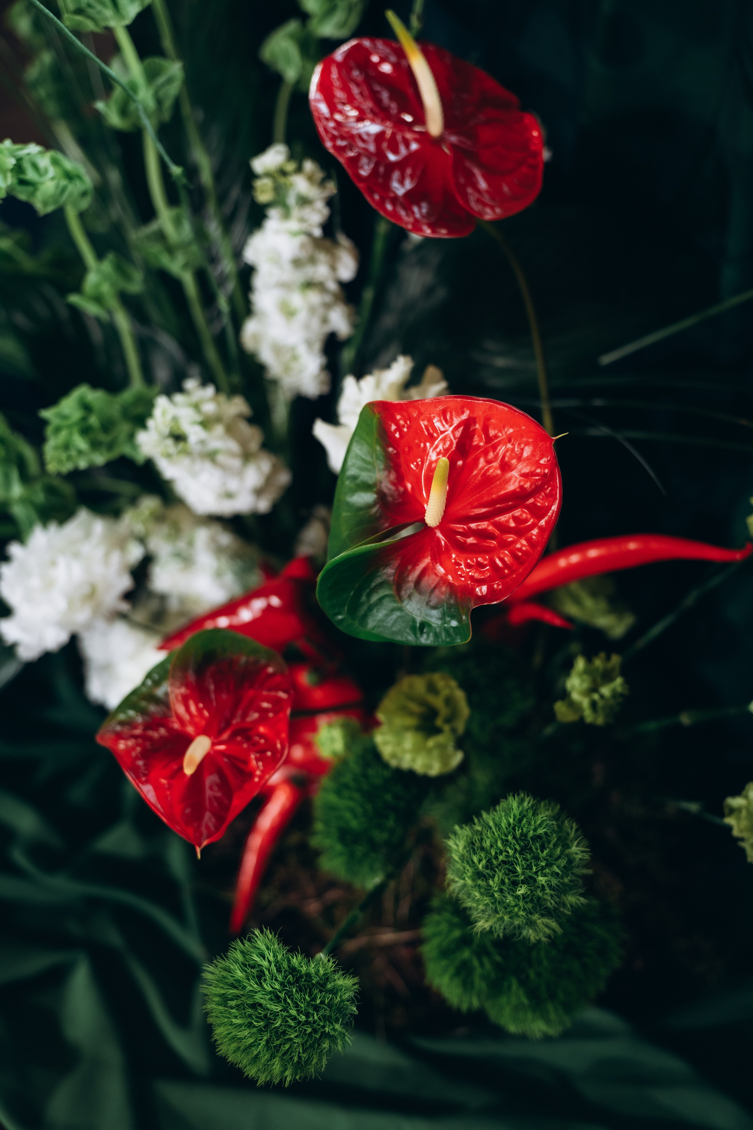Полина и Лев. Фотограф Артем Бросов в Санкт-Петербурге и Дубае
