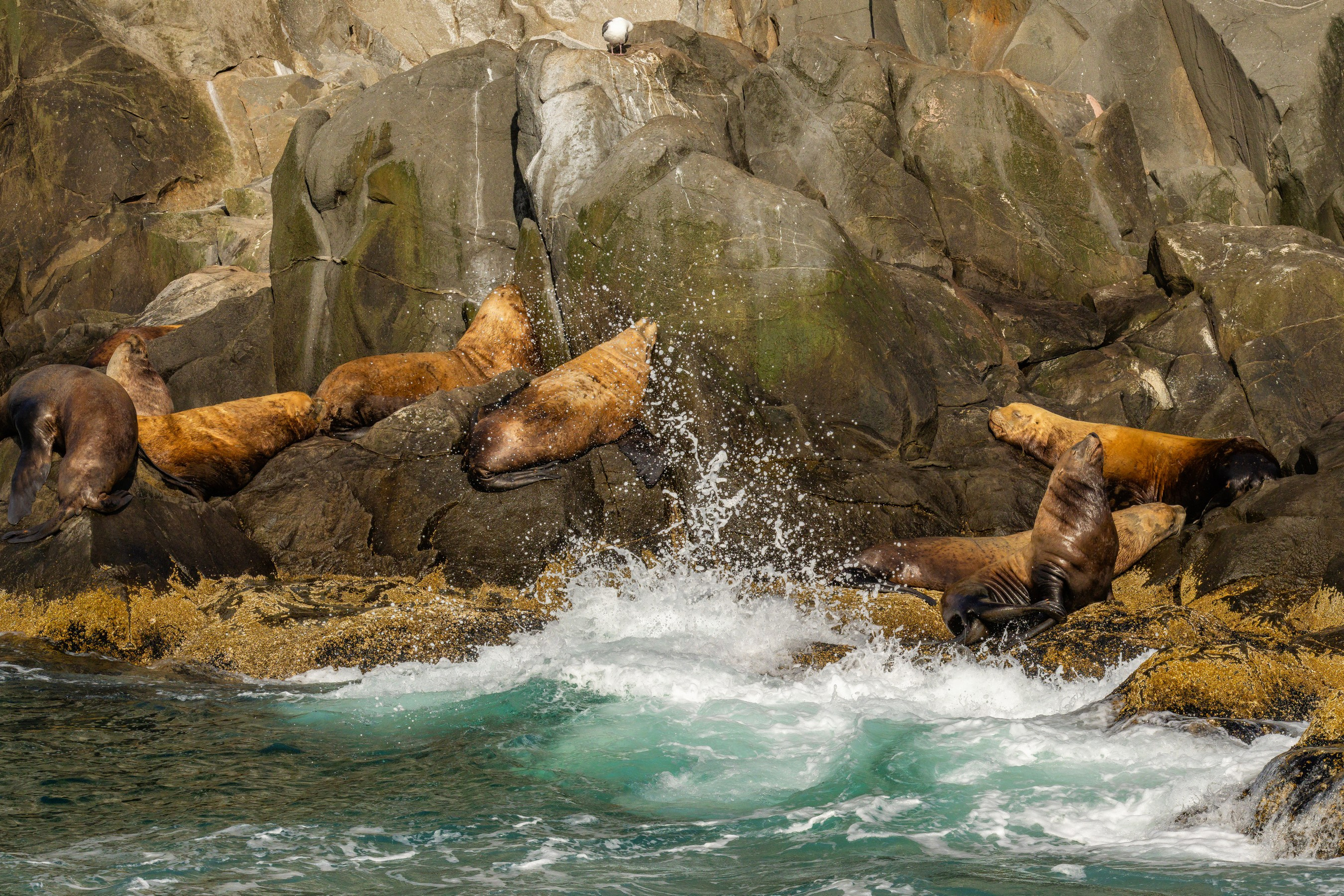 Камчатка. Макс По — фото и видео съемки любого формата
